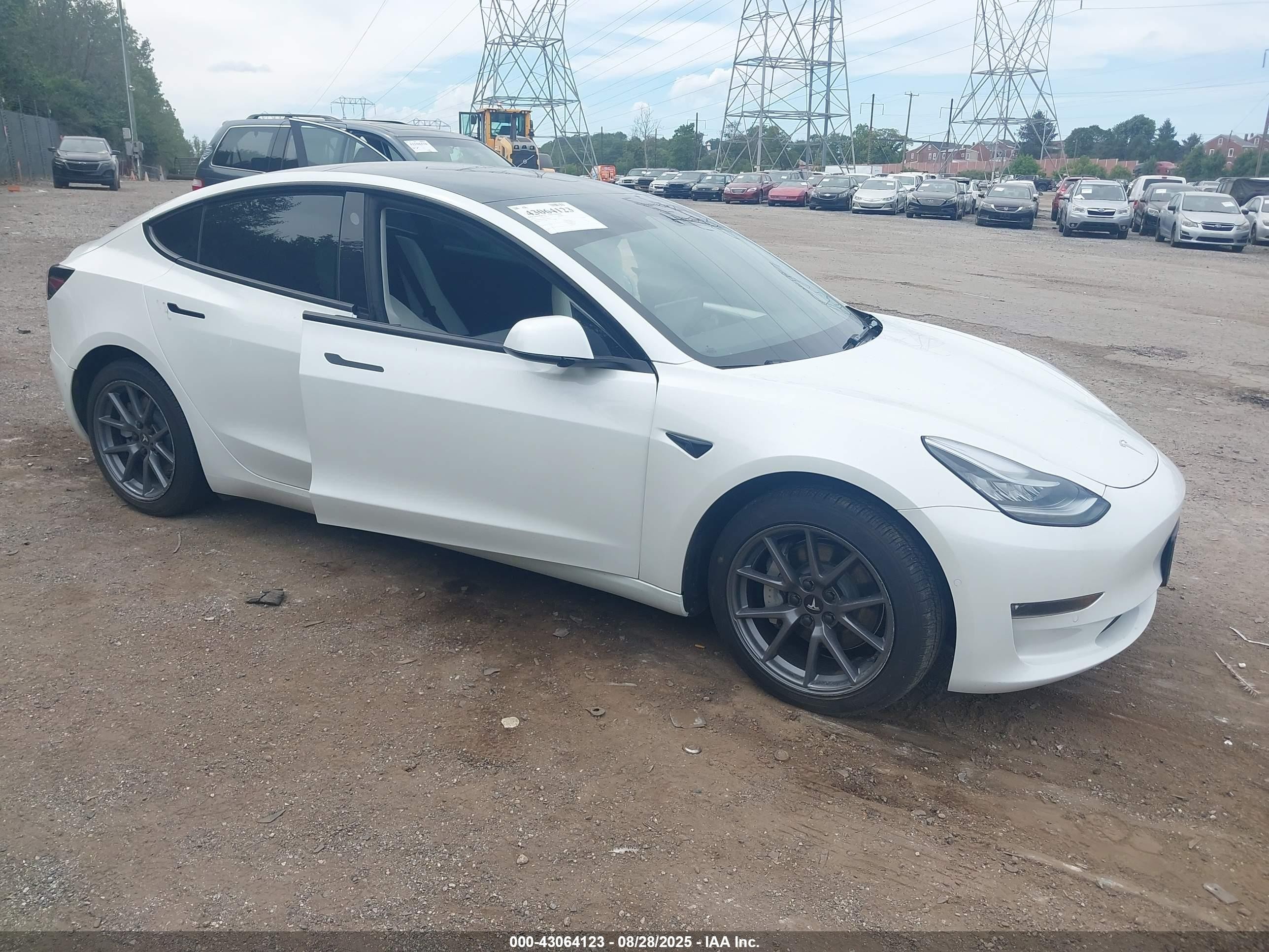 2022 Tesla Model 3 Long Range, VIN 5YJ3E1EBXNF260784 — Пресная вода