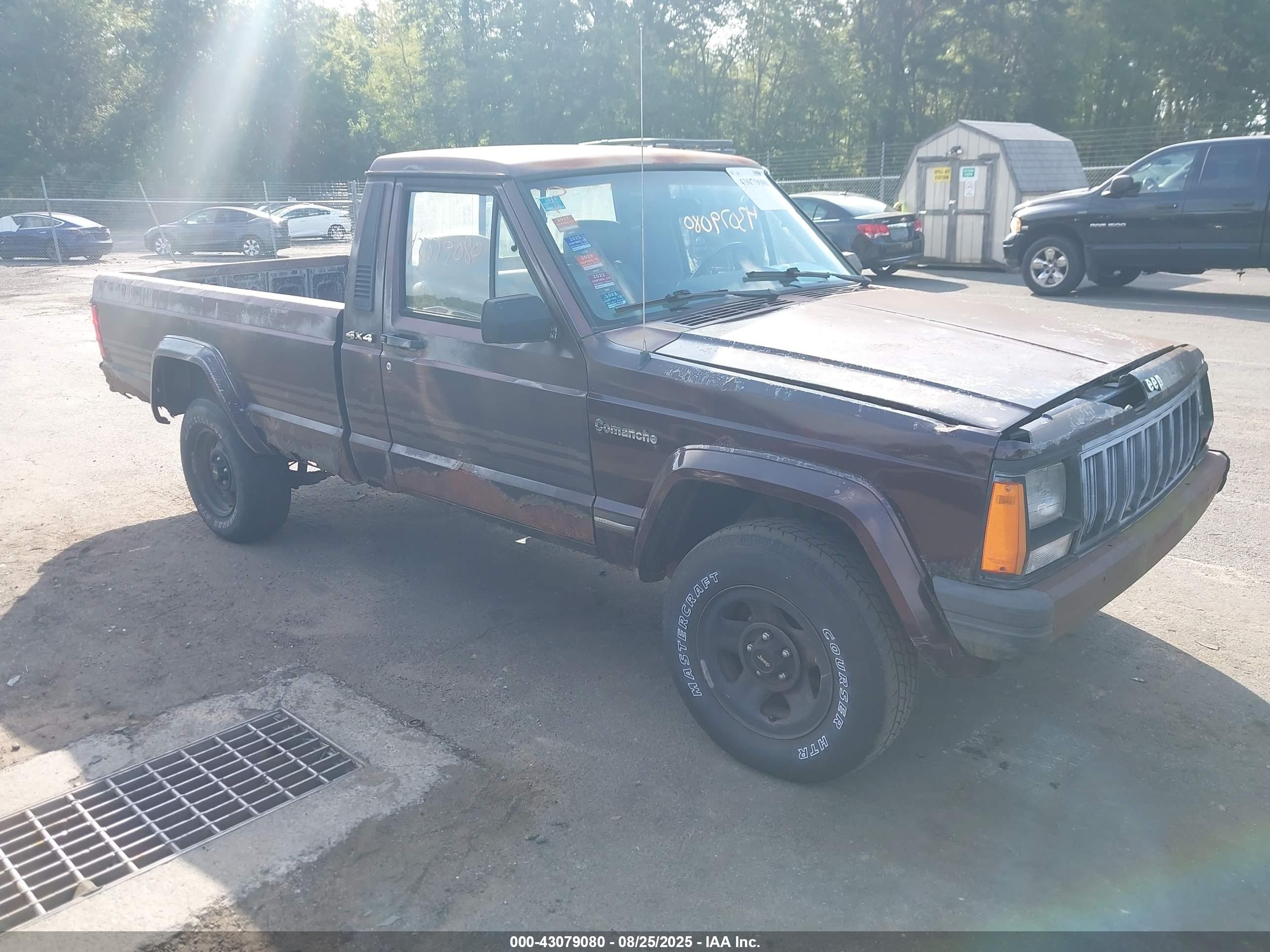 1991 Jeep Comanche PIONEER, VIN 1J7FJ36S3ML537173 — Normal wear