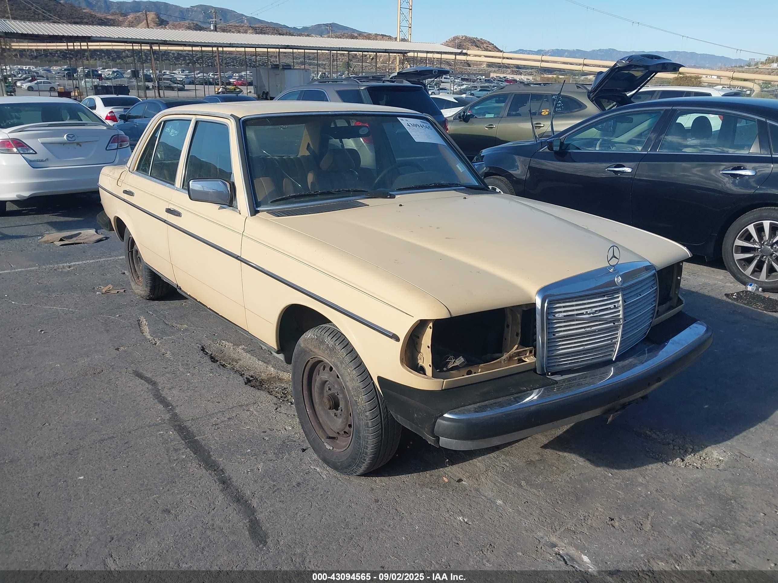 1983 Mercedes-Benz 240 Series 240D, VIN WDBAB23A5DB387619 — Front end