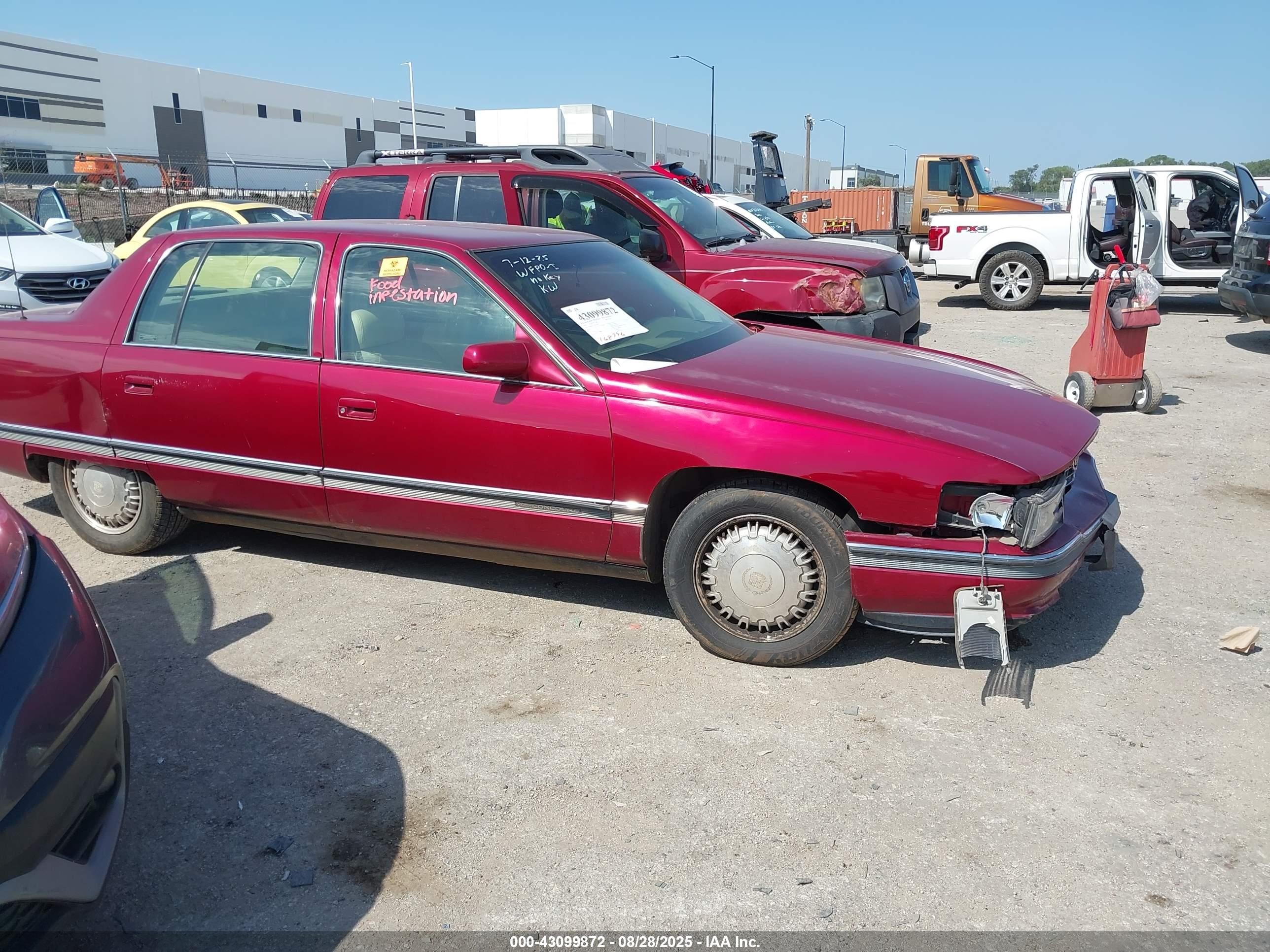 1995 Cadillac Concours, VIN 1G6KF52Y3SU206693 — Биологическое загрязнение