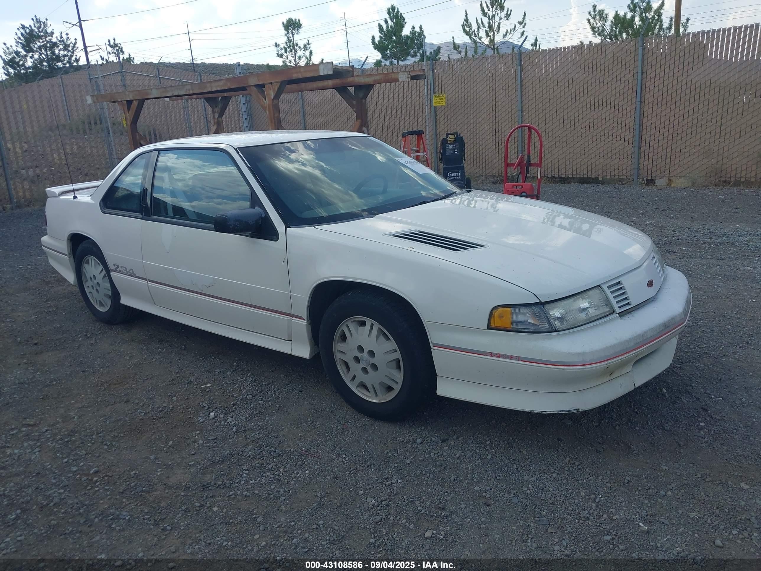 1992 Chevrolet Lumina, VIN 2G1WP14X2N9230552 — Side