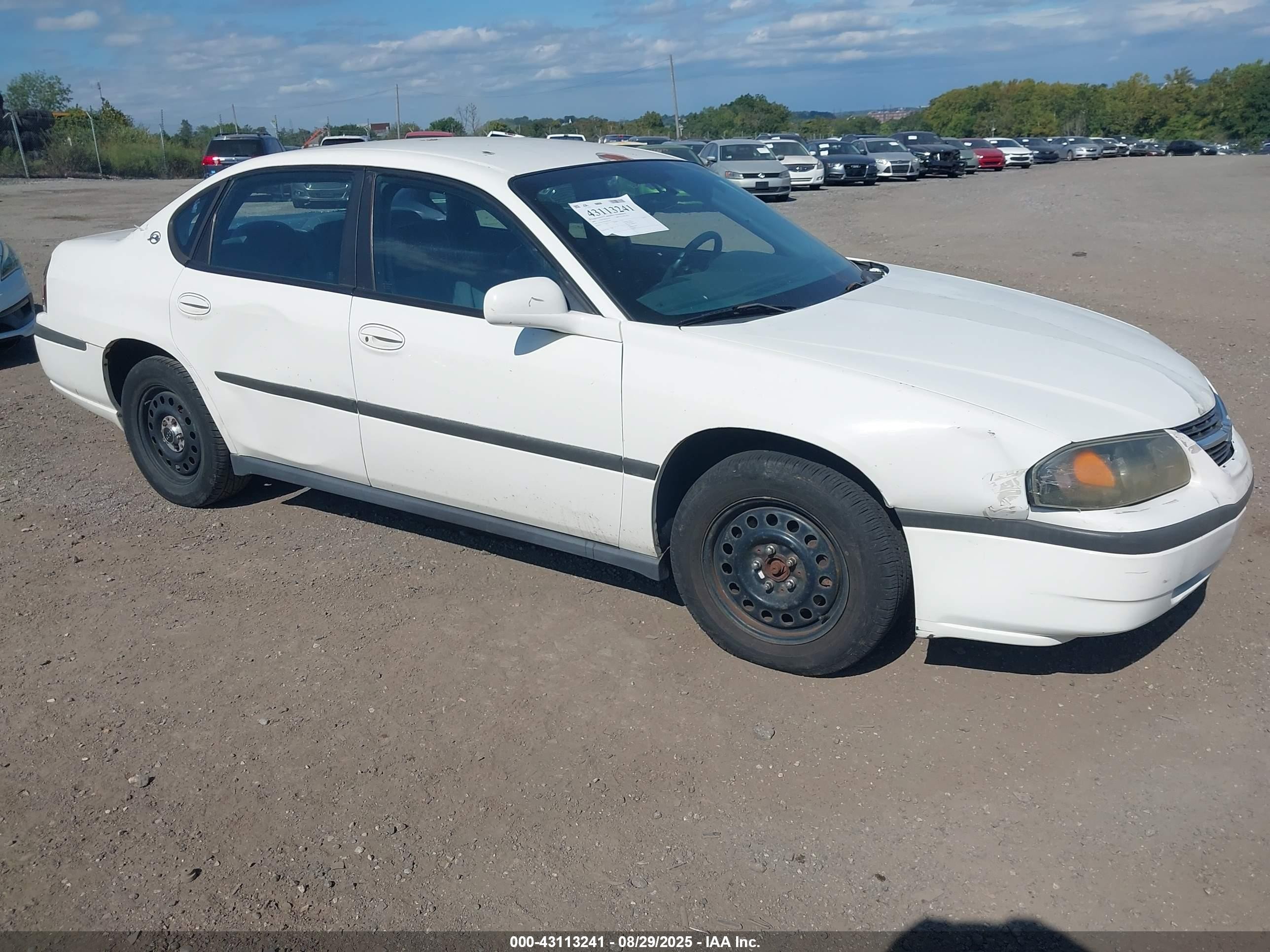 2005 Chevrolet Impala Police Police, VIN 2G1WF55K559282285 — Front end