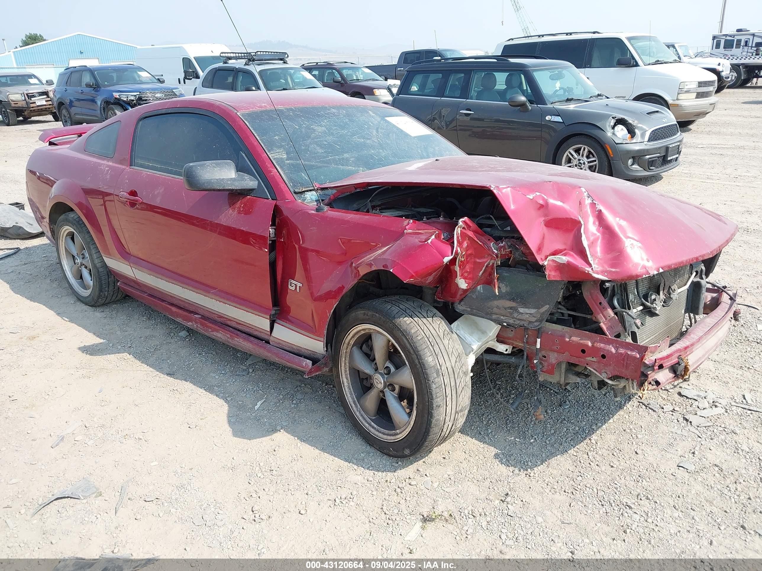 2006 Ford Mustang GT Deluxe, VIN 1ZVFT82H265164720 — Front end