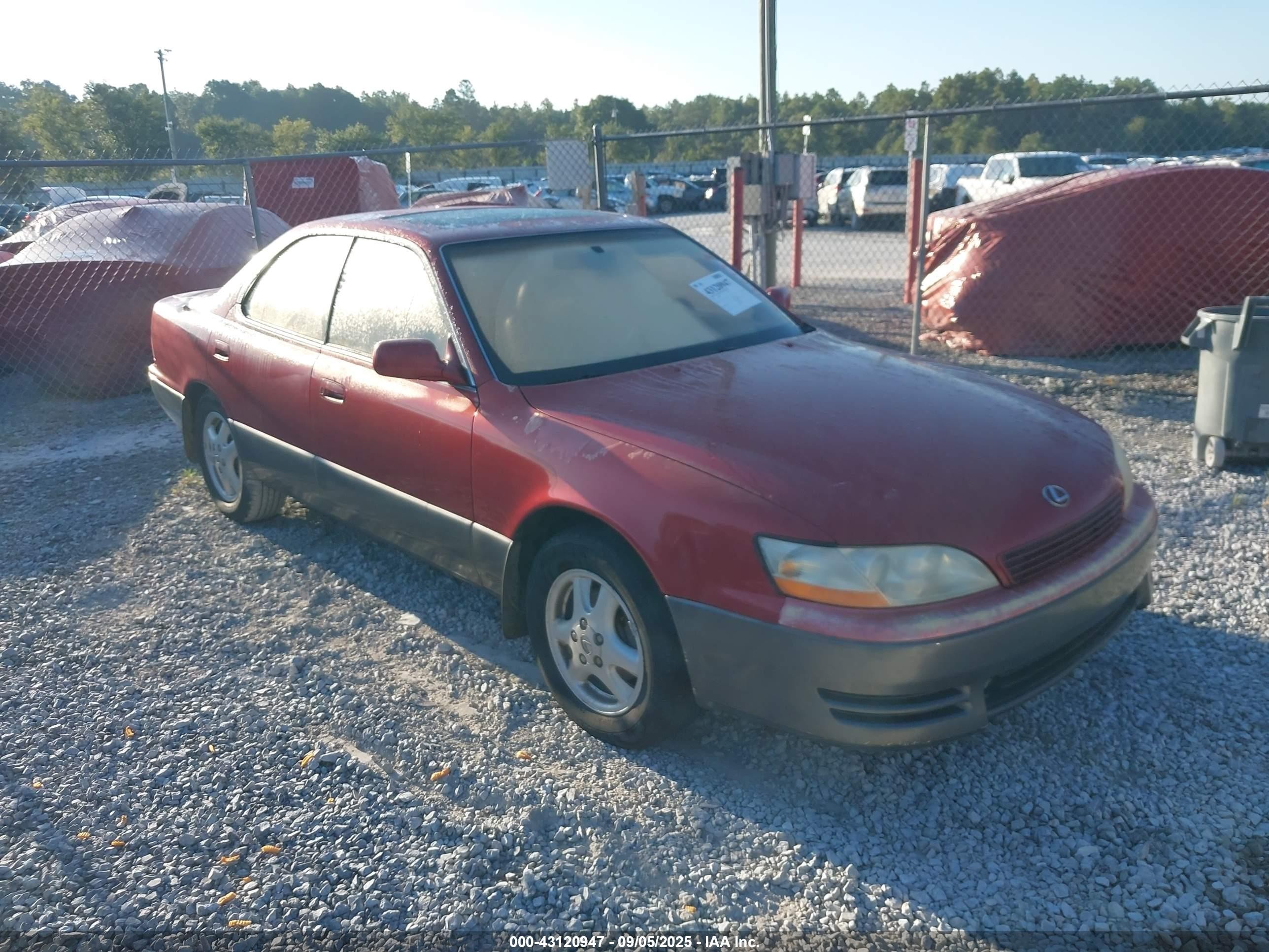 1993 Lexus ES 300, VIN JT8VK13T6P0152725 — Перед