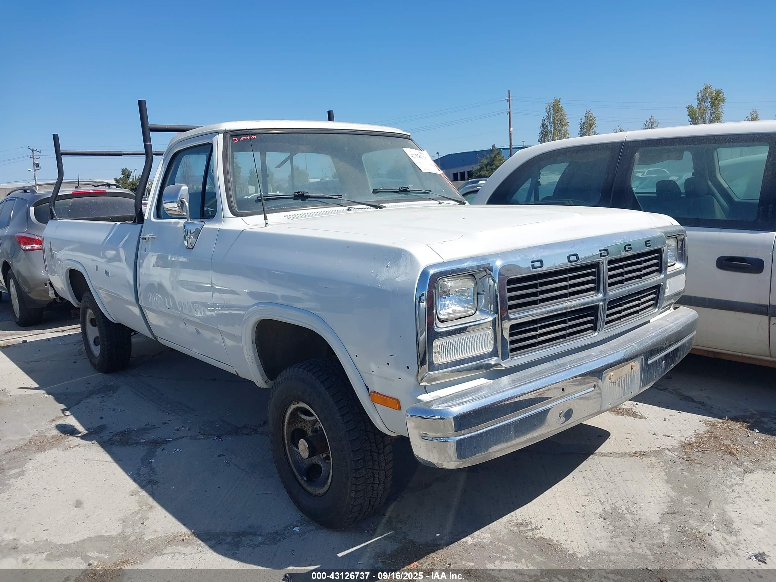 1993 Dodge W SERIES, VIN 1B7HM16Y4PS239267 — Normal wear