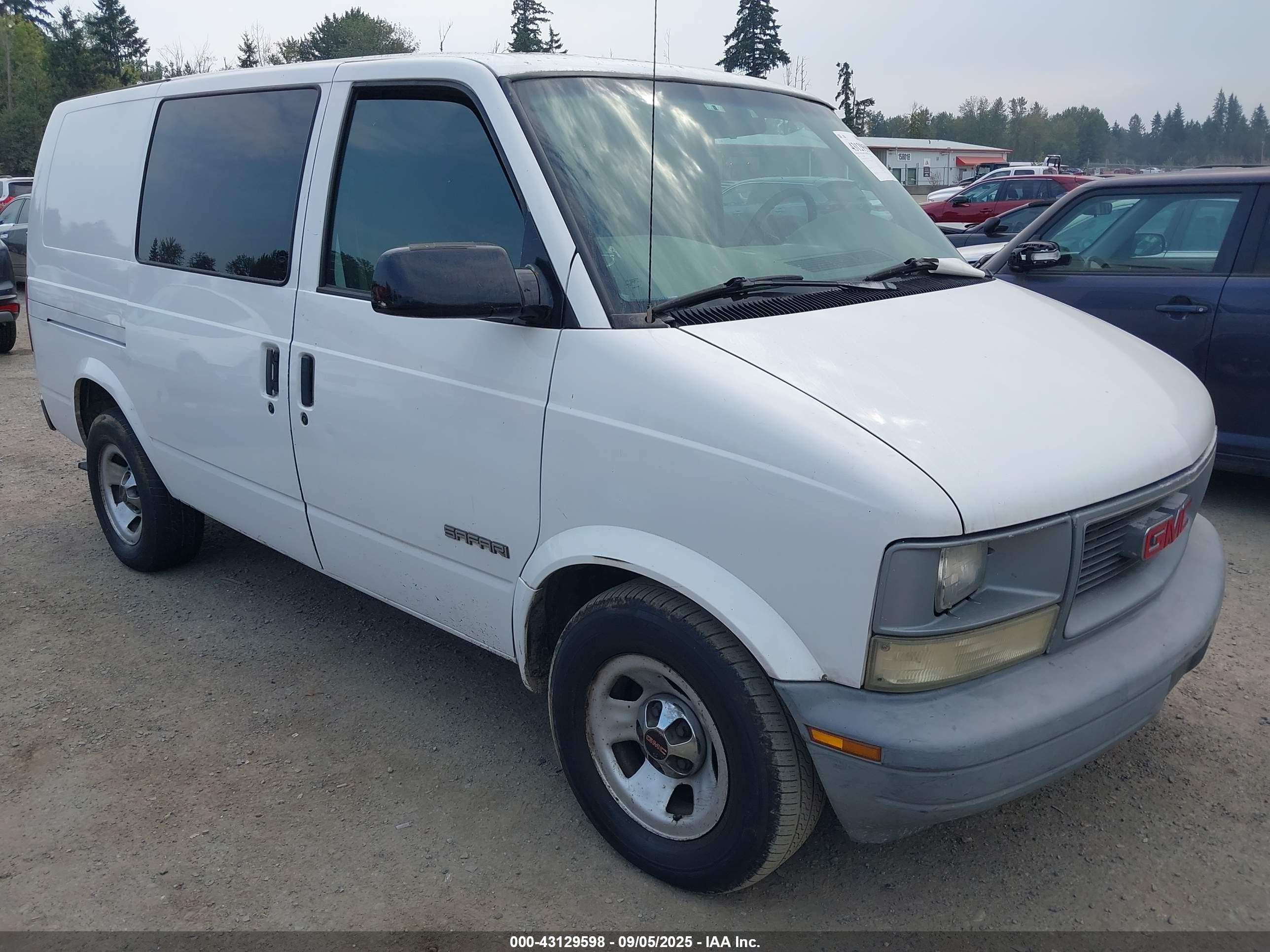 2002 GMC Safari Cargo, VIN 1GTDM19X42B511018 — Front end