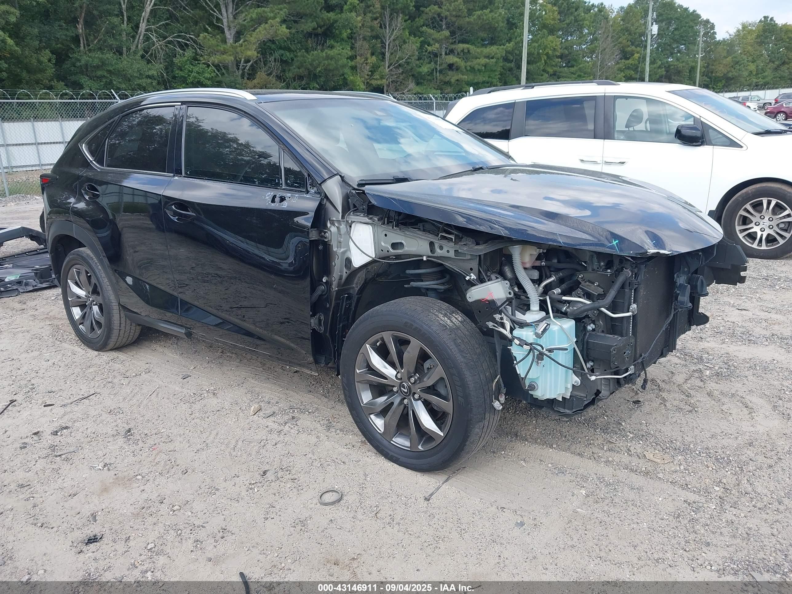 2019 Lexus NX 300, VIN JTJYARBZ6K2149274 — Front end