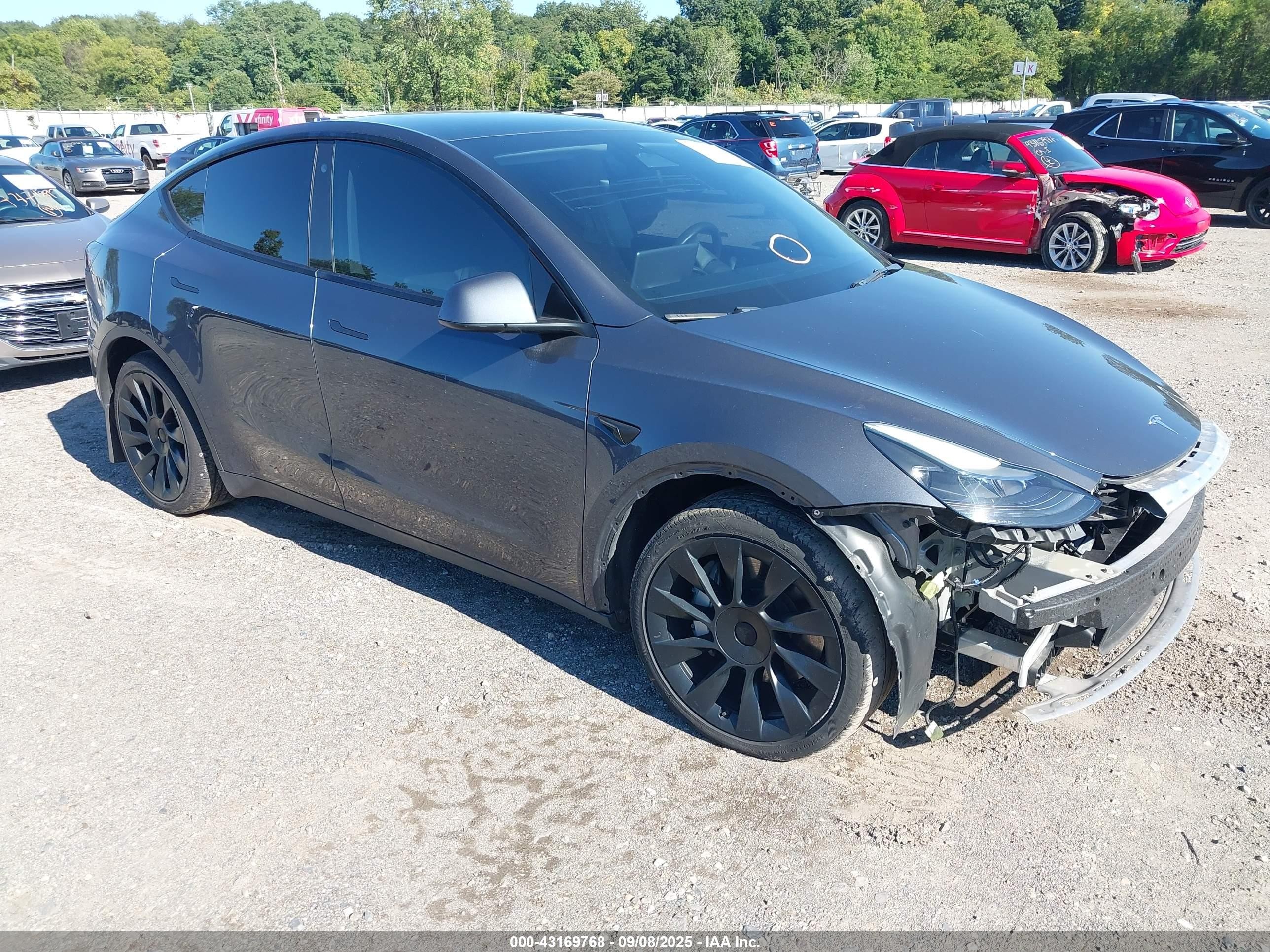 2023 Tesla Model Y Long Range, VIN 7SAYGAEE0PF606695 — Water / flood