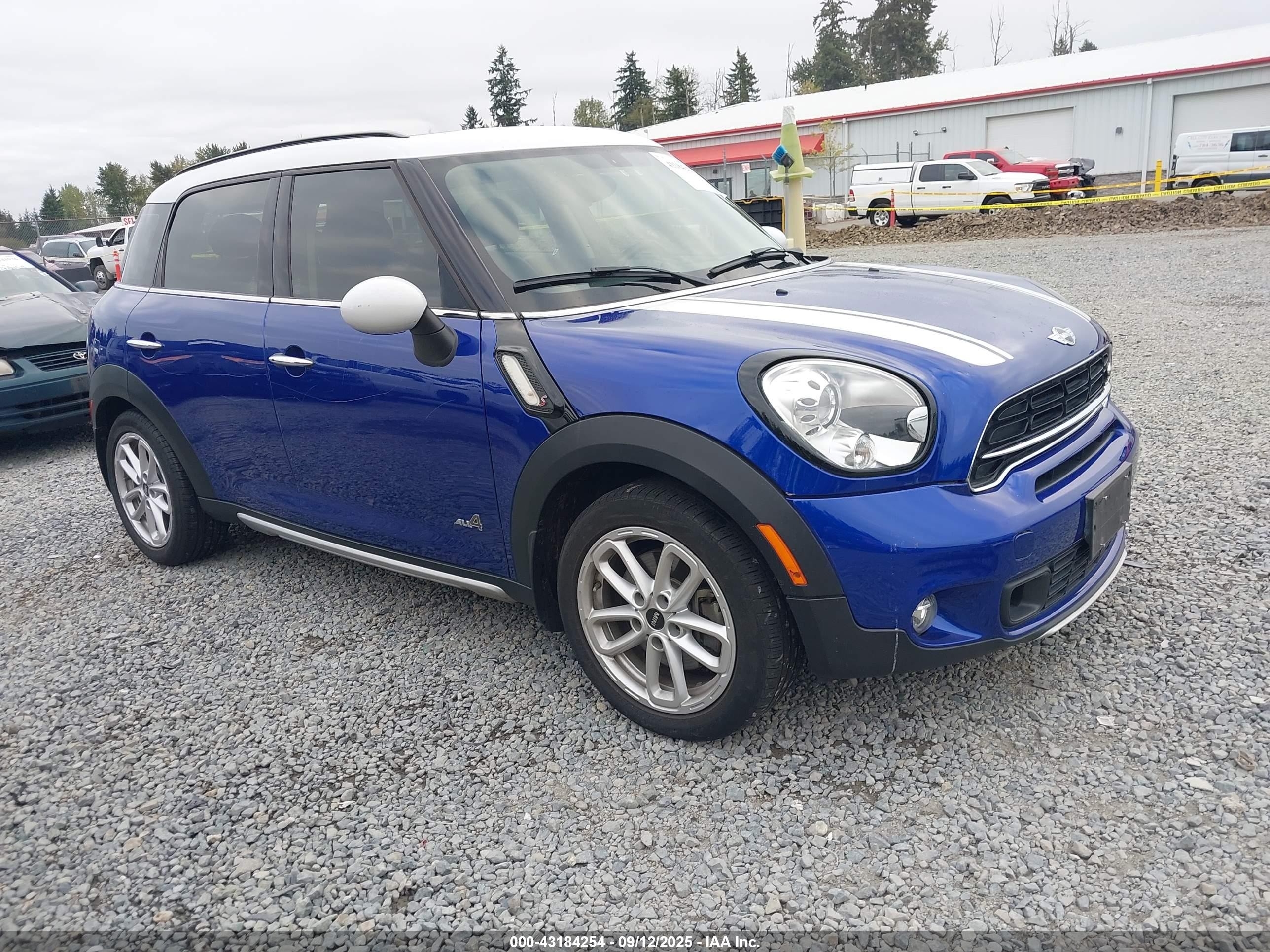 2015 MINI Countryman S, VIN WMWZC5C51FWP46981 — Vandalism