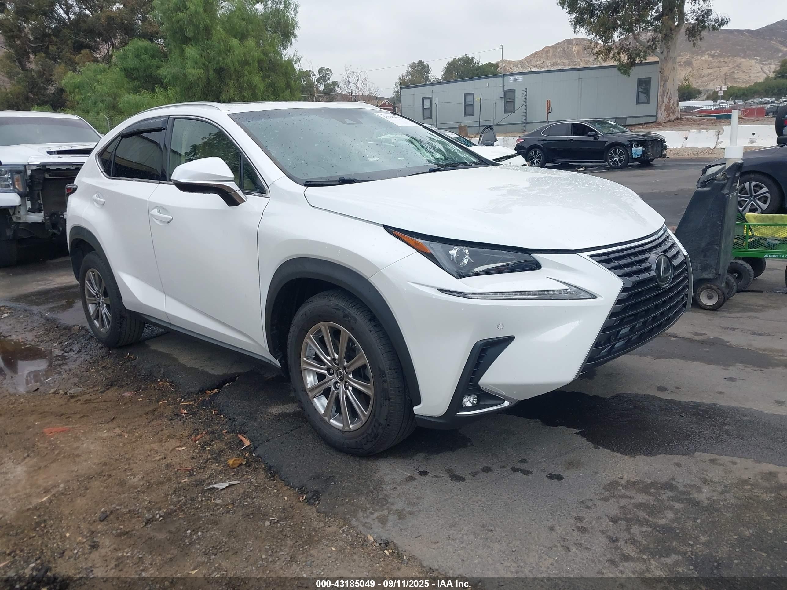 2019 Lexus NX 300, VIN JTJYARBZ9K2137930 — Front end