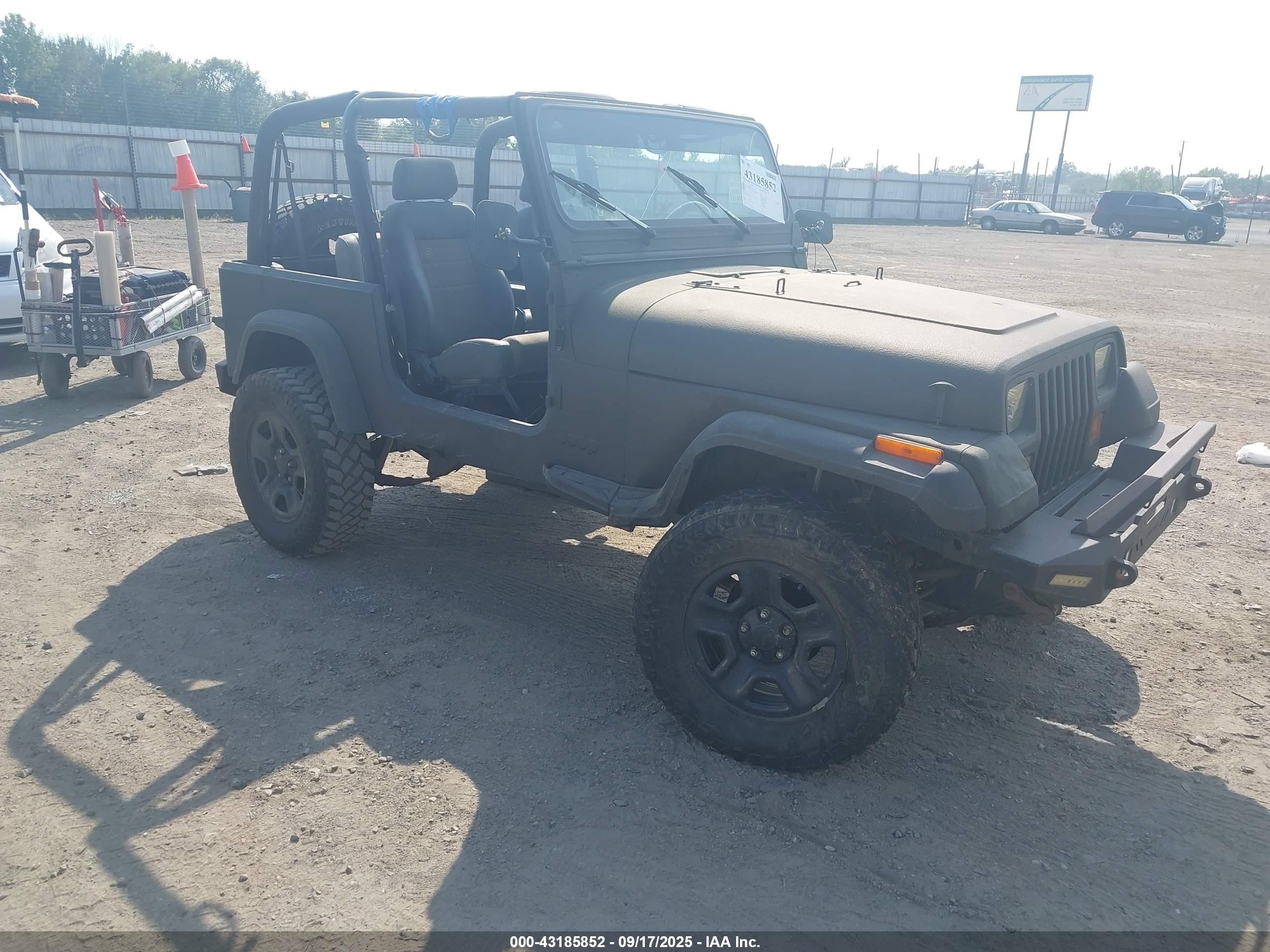 1993 Jeep Wrangler S, VIN 1J4FY19P8PP218353 — Side