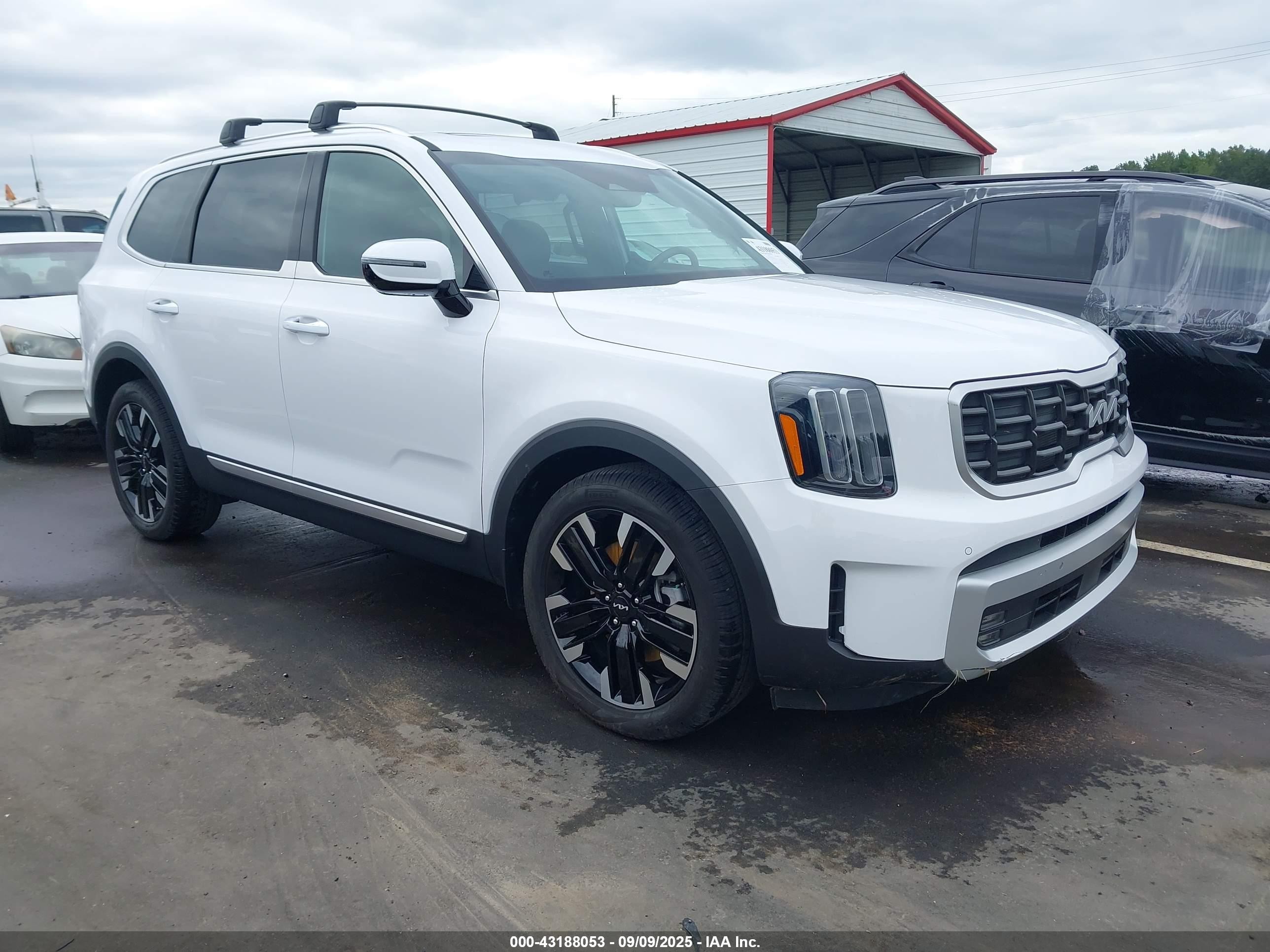 2024 Kia Telluride SX, VIN 5XYP54GC4RG530325 — Side