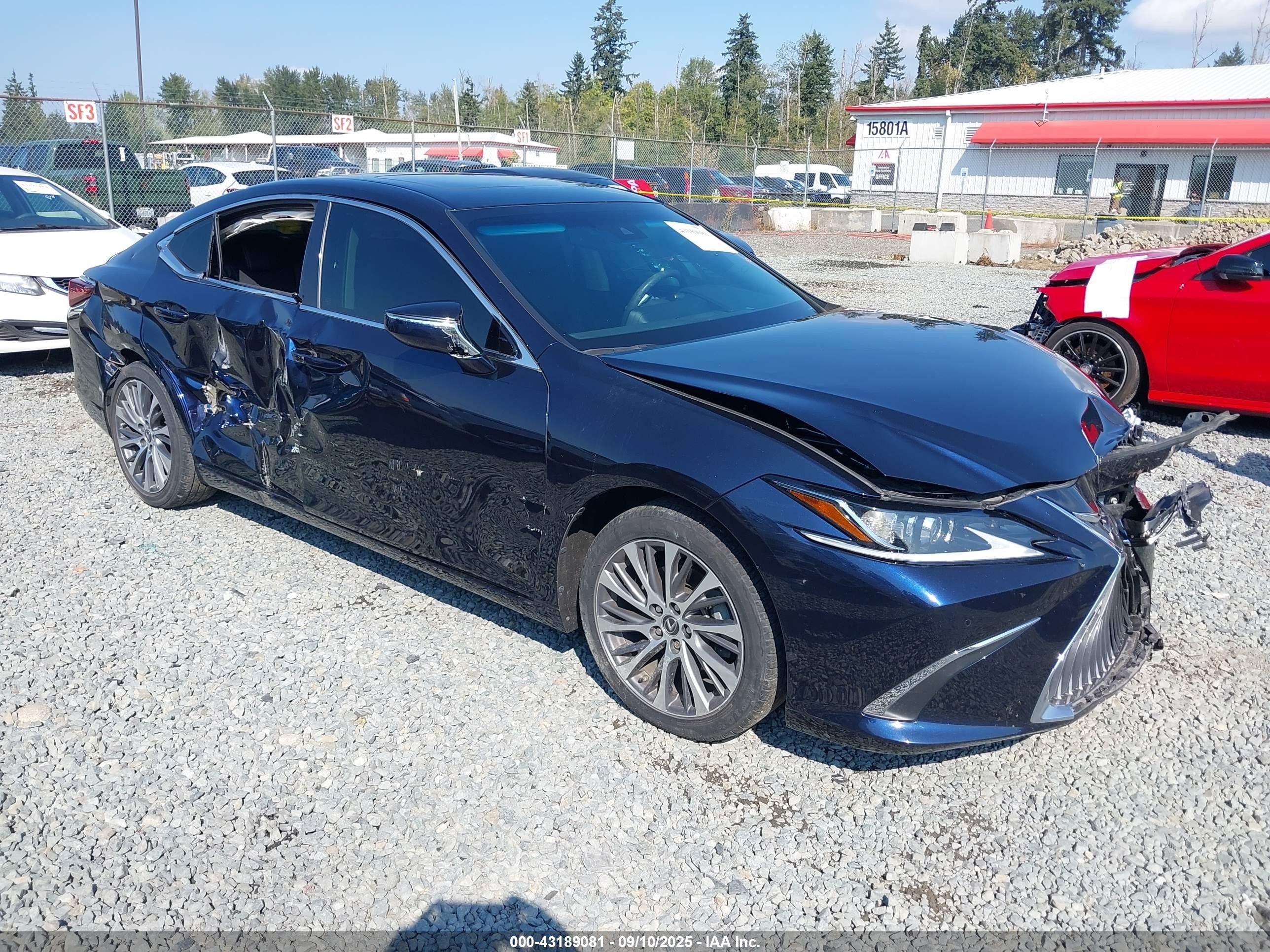 2021 Lexus ES 250, VIN 58AD11D12MU008188 — Front end