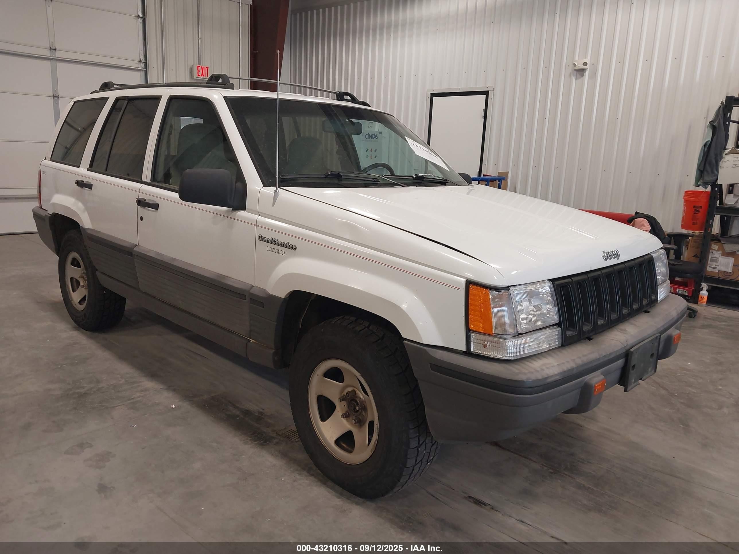 1994 Jeep Grand Cherokee Laredo, VIN 1J4GZ58Y9RC330821 — Hail