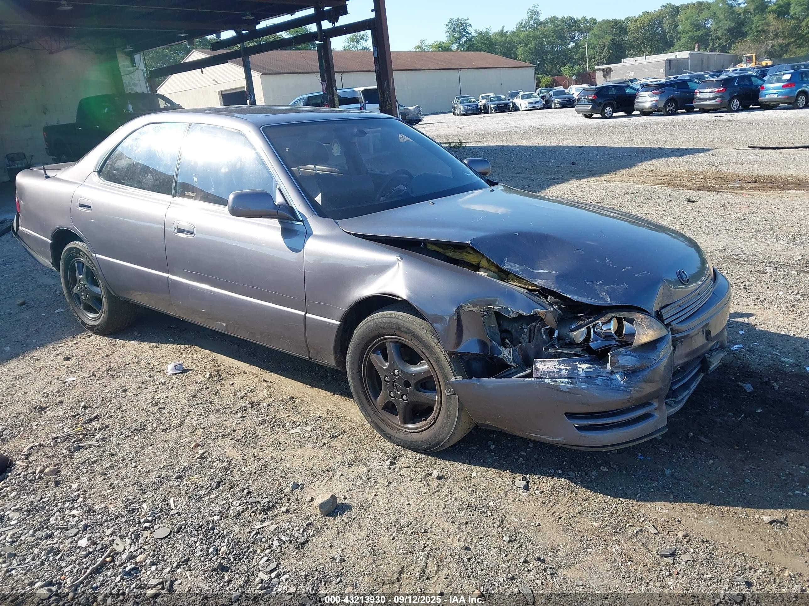 1995 Lexus ES 300, VIN JT8GK13T9S0116741 — Front end