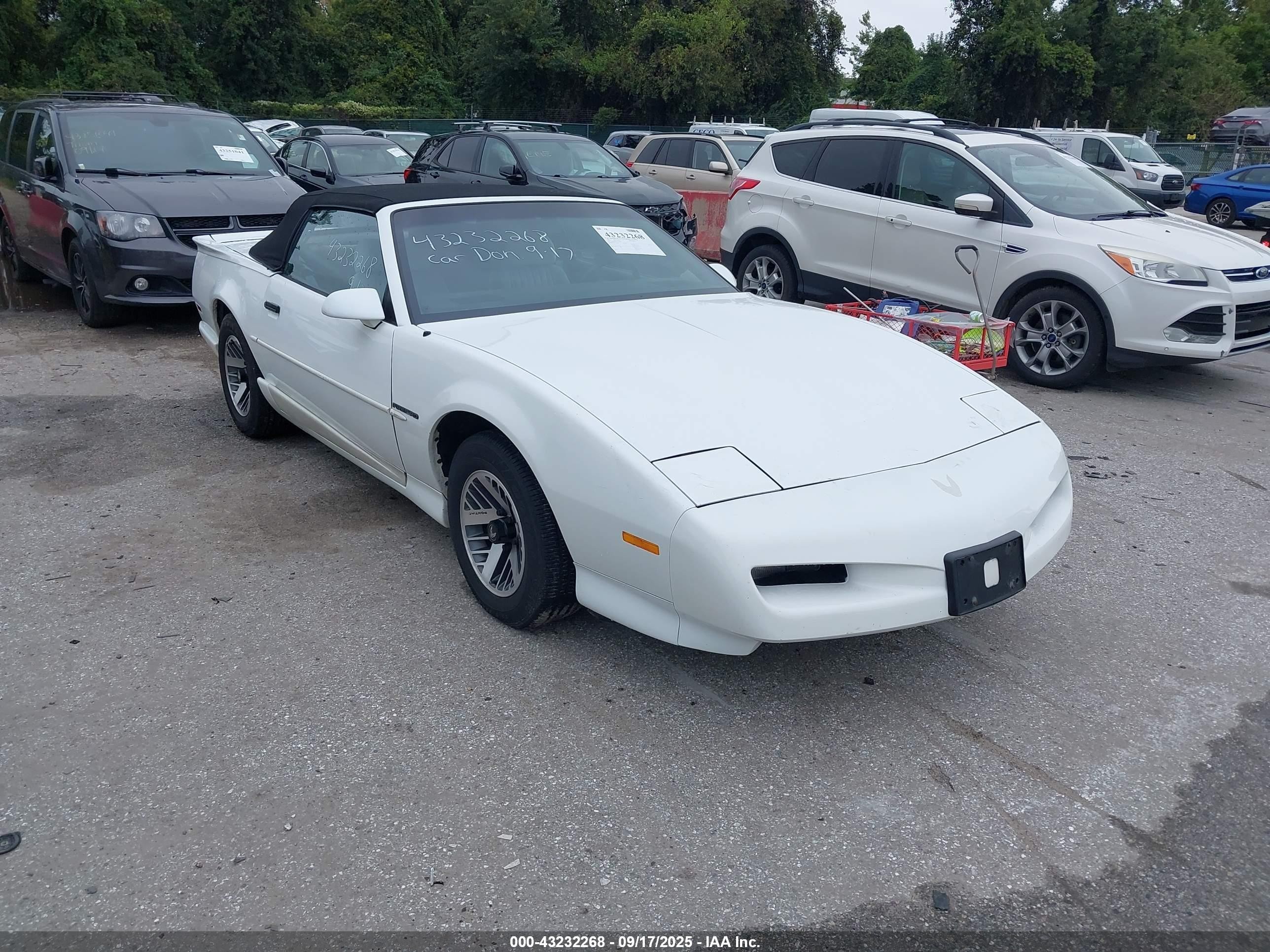 1992 Pontiac Firebird, VIN 1G2FS33E6NL206463 — Normal wear