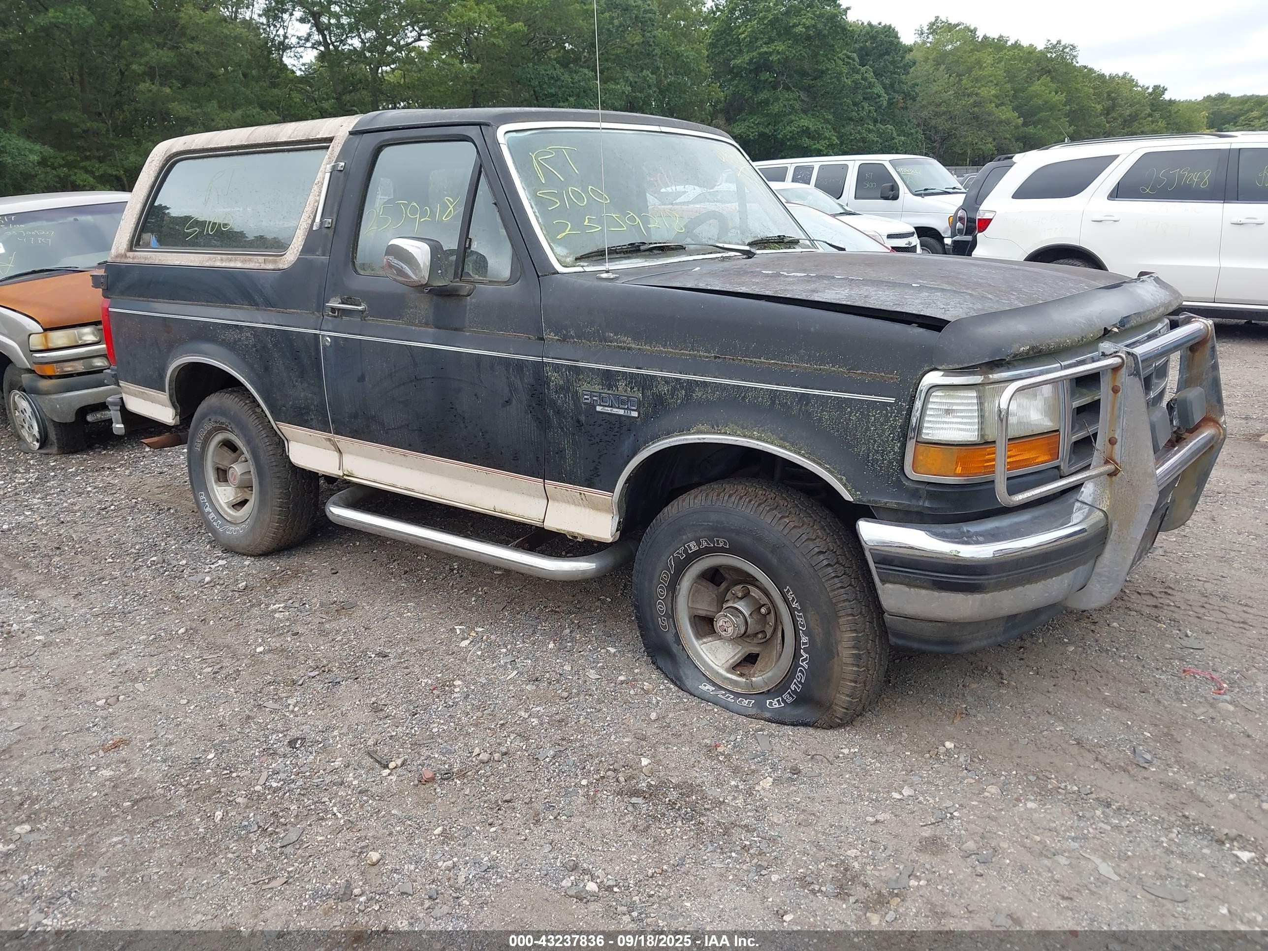 1993 Ford Bronco Eddie Bauer, VIN 1FMEU15N2PLA18489 — All over