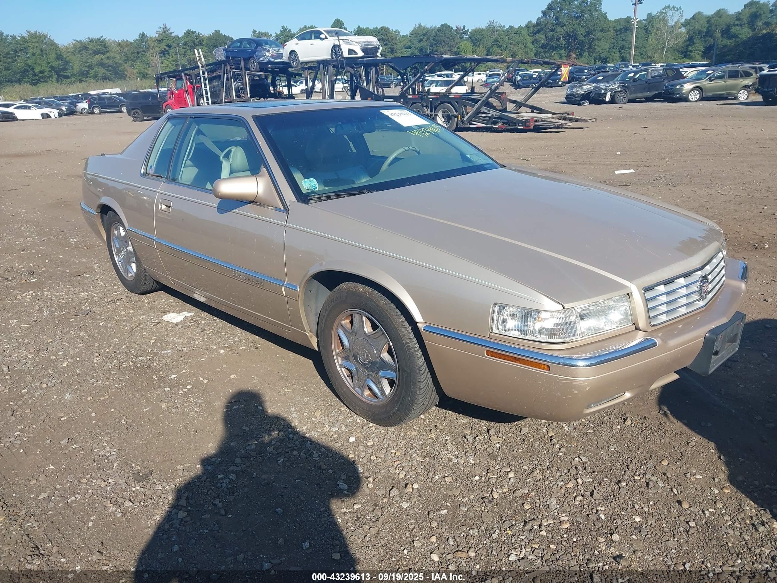 1997 Cadillac Eldorado, VIN 1G6EL12Y4VU602876 — Обычный износ