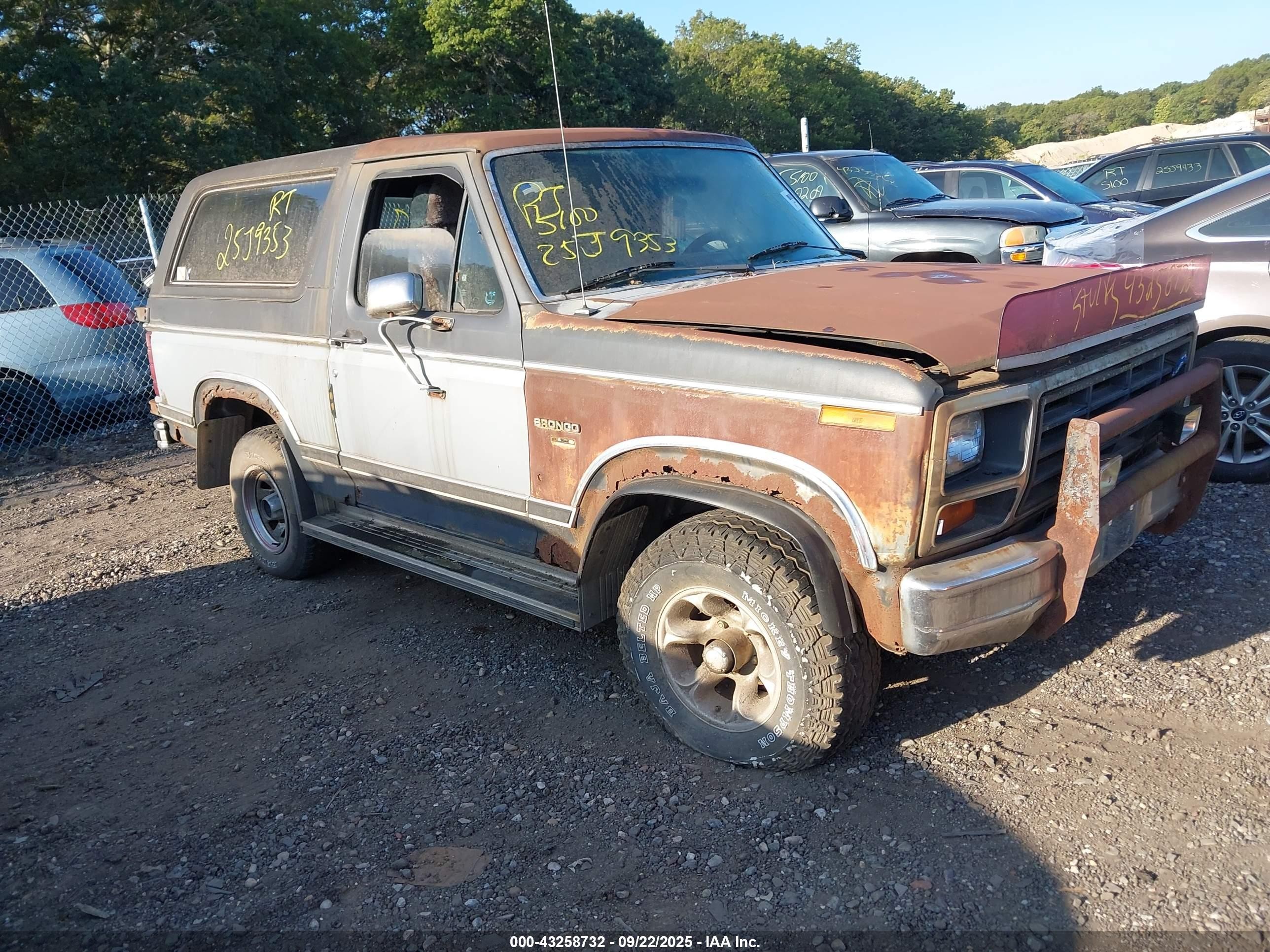 1983 Ford Bronco, VIN 1FMEU15F8DLA83612 — All over