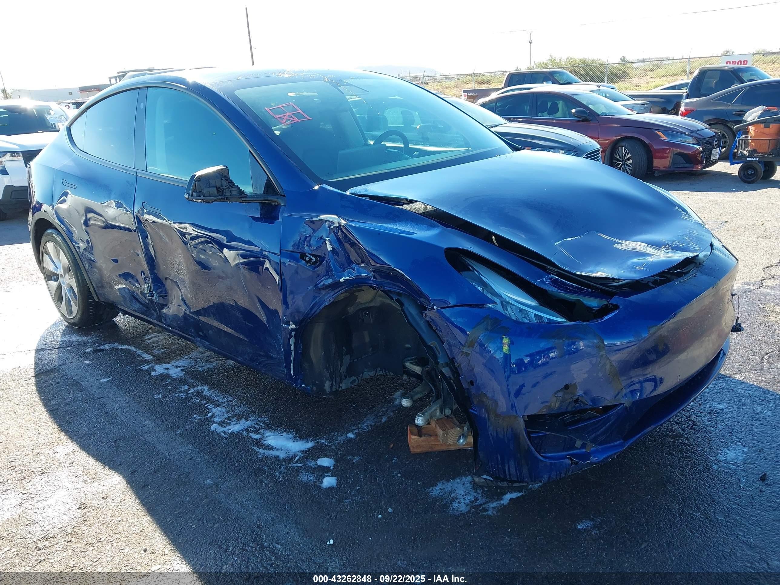 2021 Tesla Model Y Long Range, VIN 5YJYGDEE3MF303713 — Side