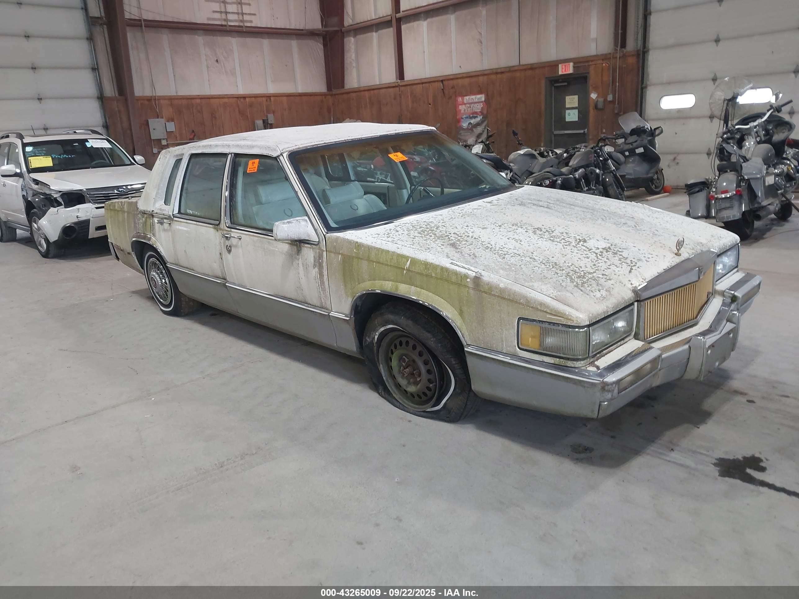 1989 Cadillac DeVille, VIN 1G6CD5153K4206887 — Биологическое загрязнение