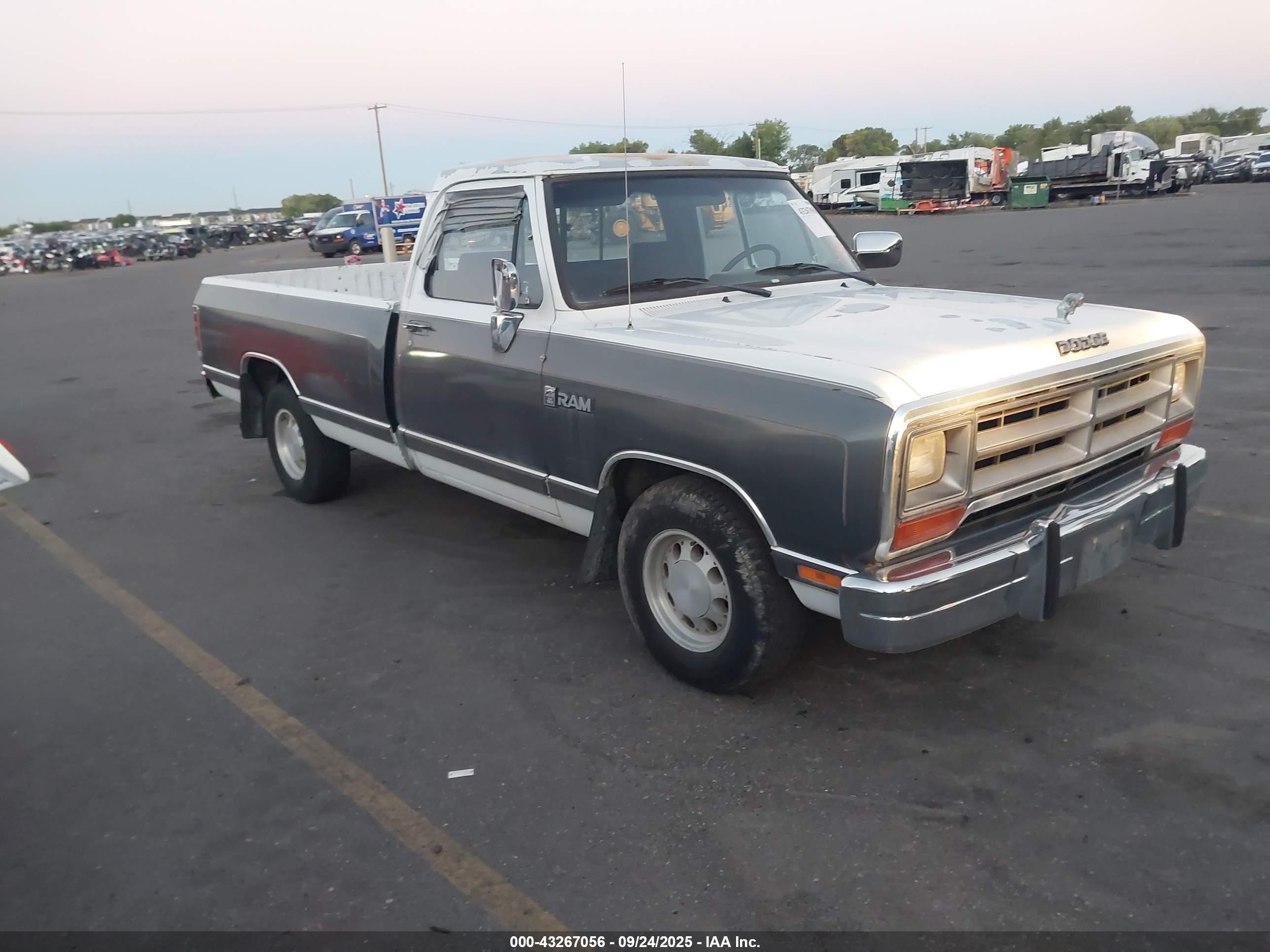 1990 Dodge D Series, VIN 1B7GE16YXLS600746 — All over