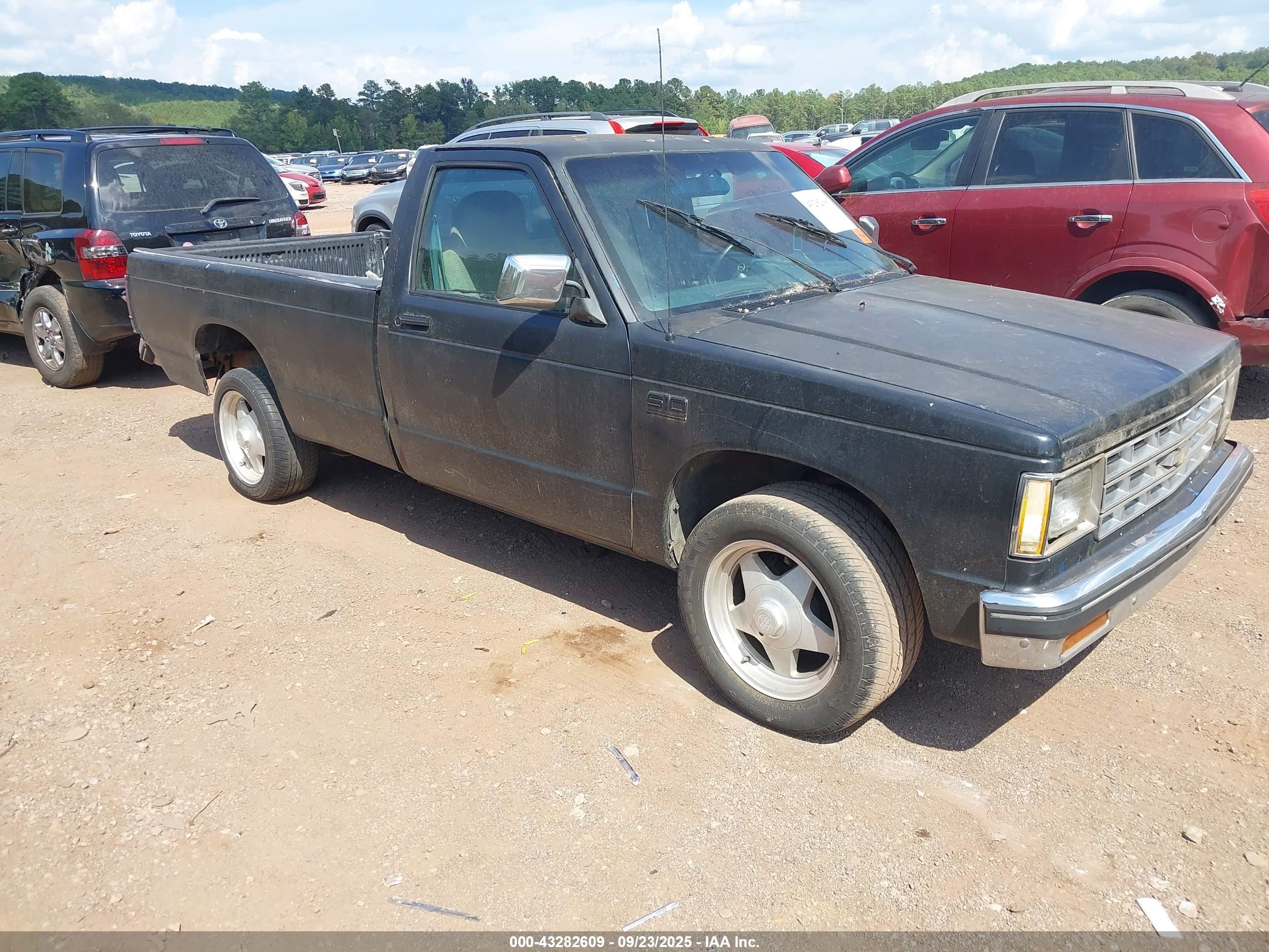 1989 Chevrolet S-10, VIN 1GCCS14Z6K2203505 — Rear end