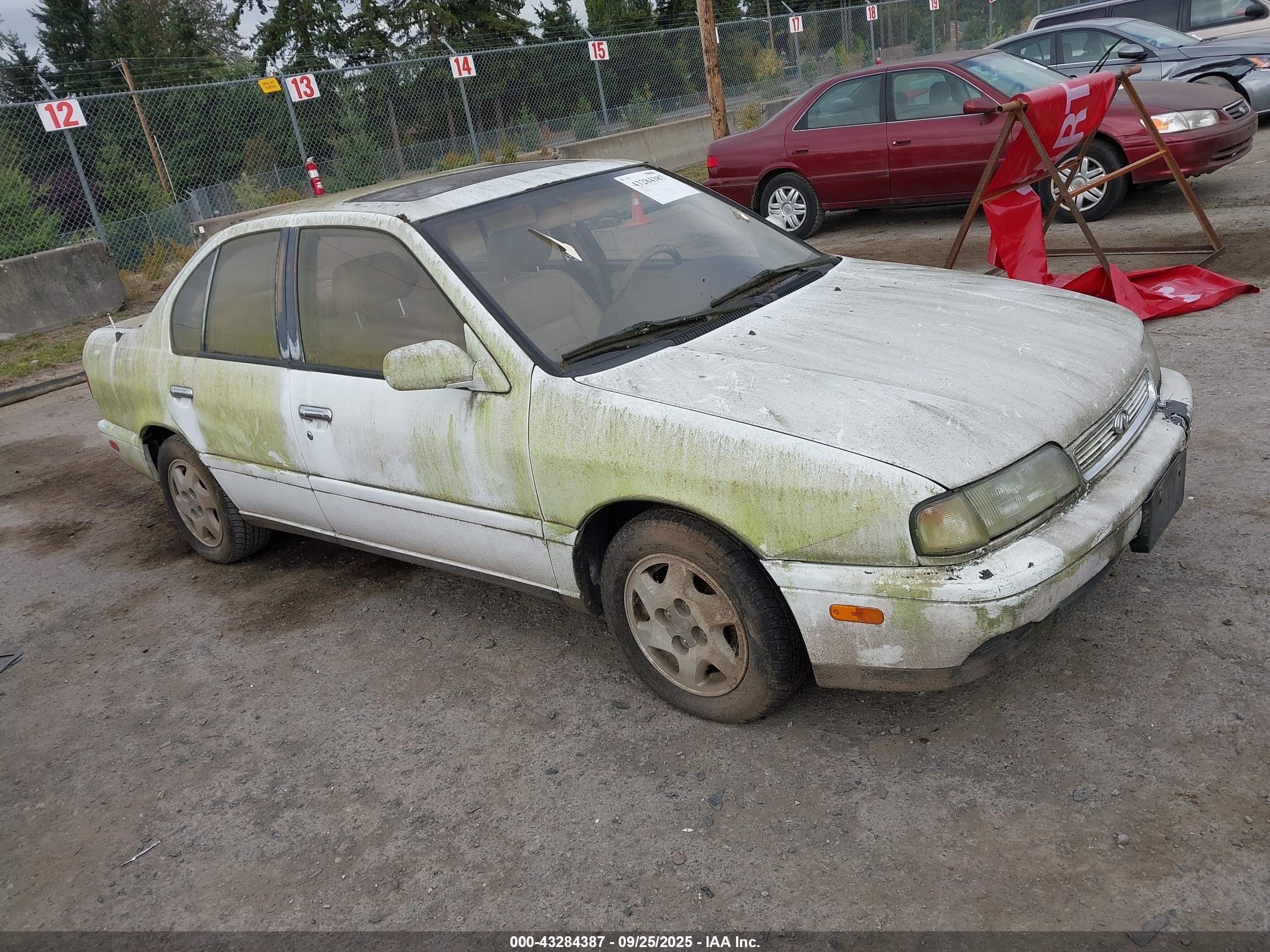 1994 Infiniti G20, VIN JNKCP01D9RT504101 — Front end