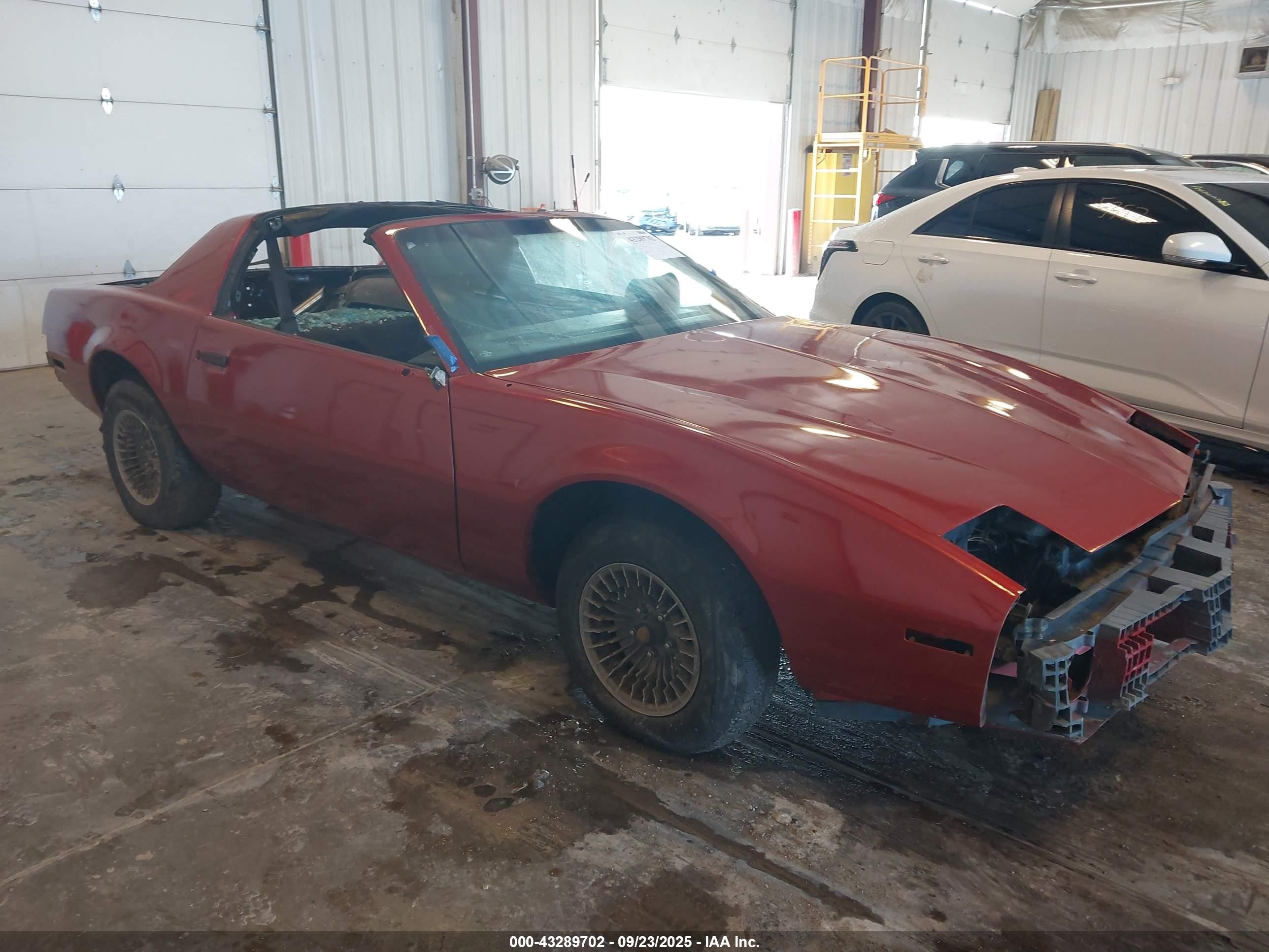 1982 Pontiac Firebird, VIN 1G2AX8712CL554080 — All over