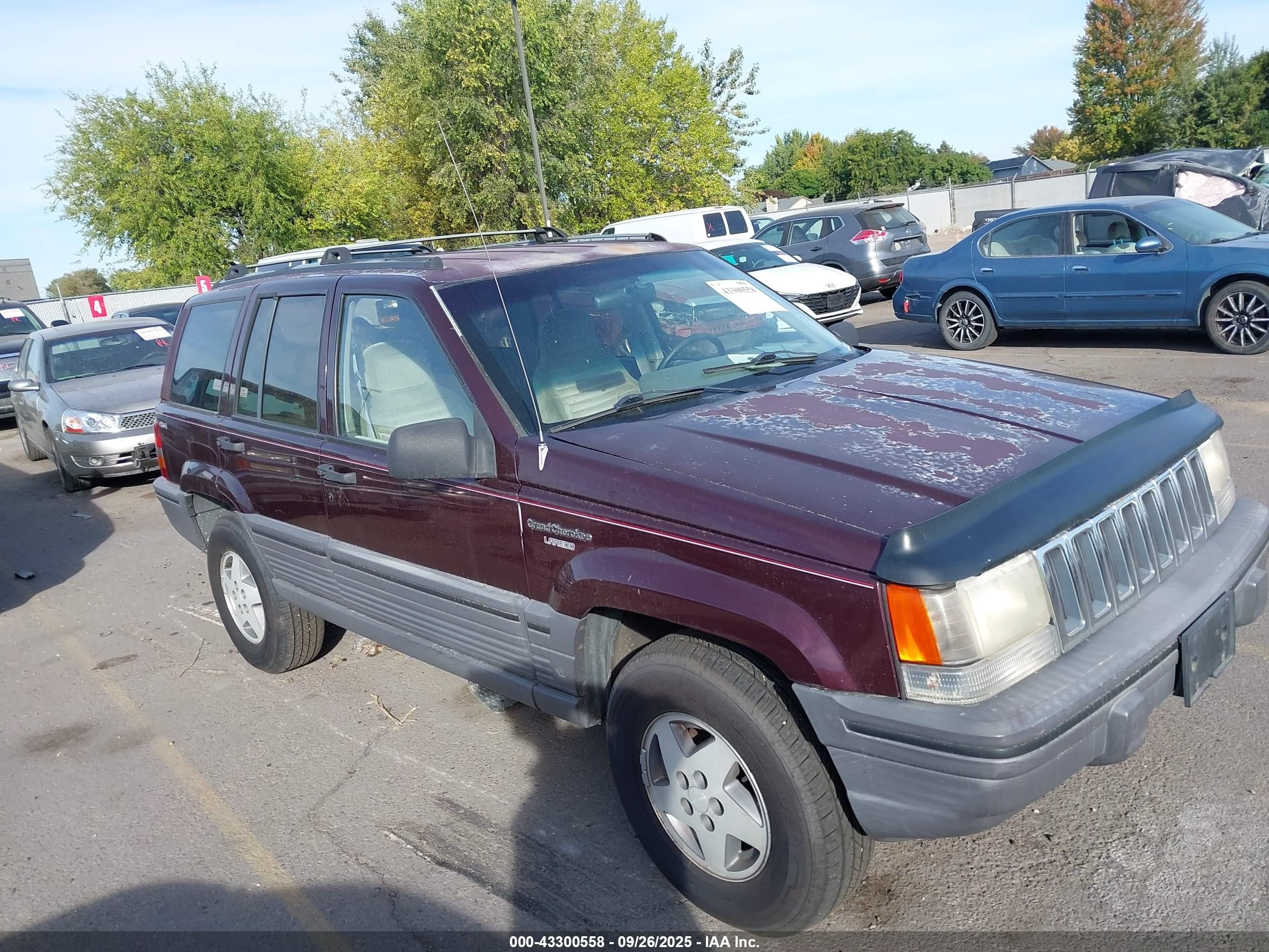 1994 Jeep Grand Cherokee, VIN 1J4GV58Y9RC126598 — All over