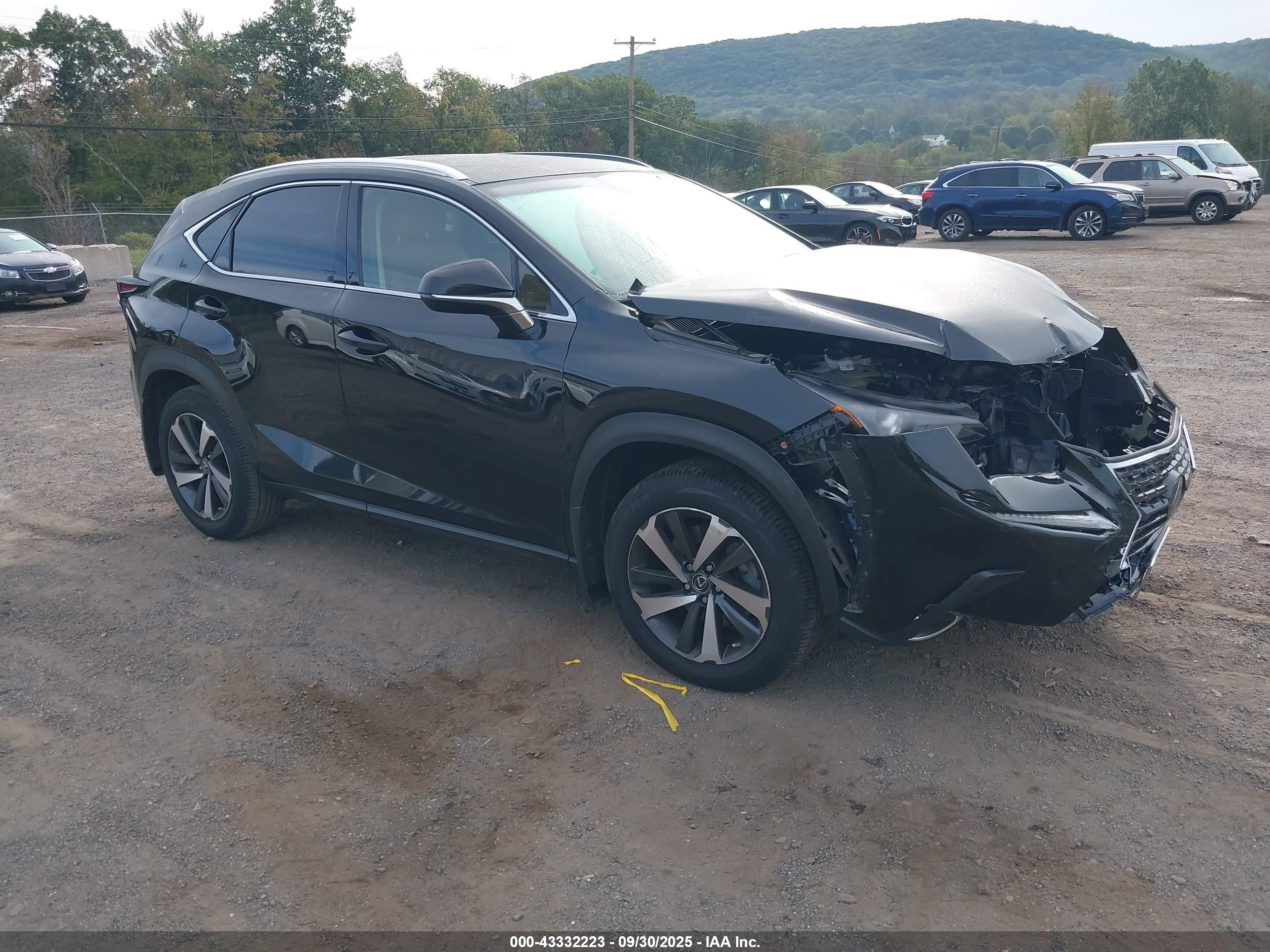 2019 Lexus NX 300, VIN JTJBARBZXK2203472 — Front end