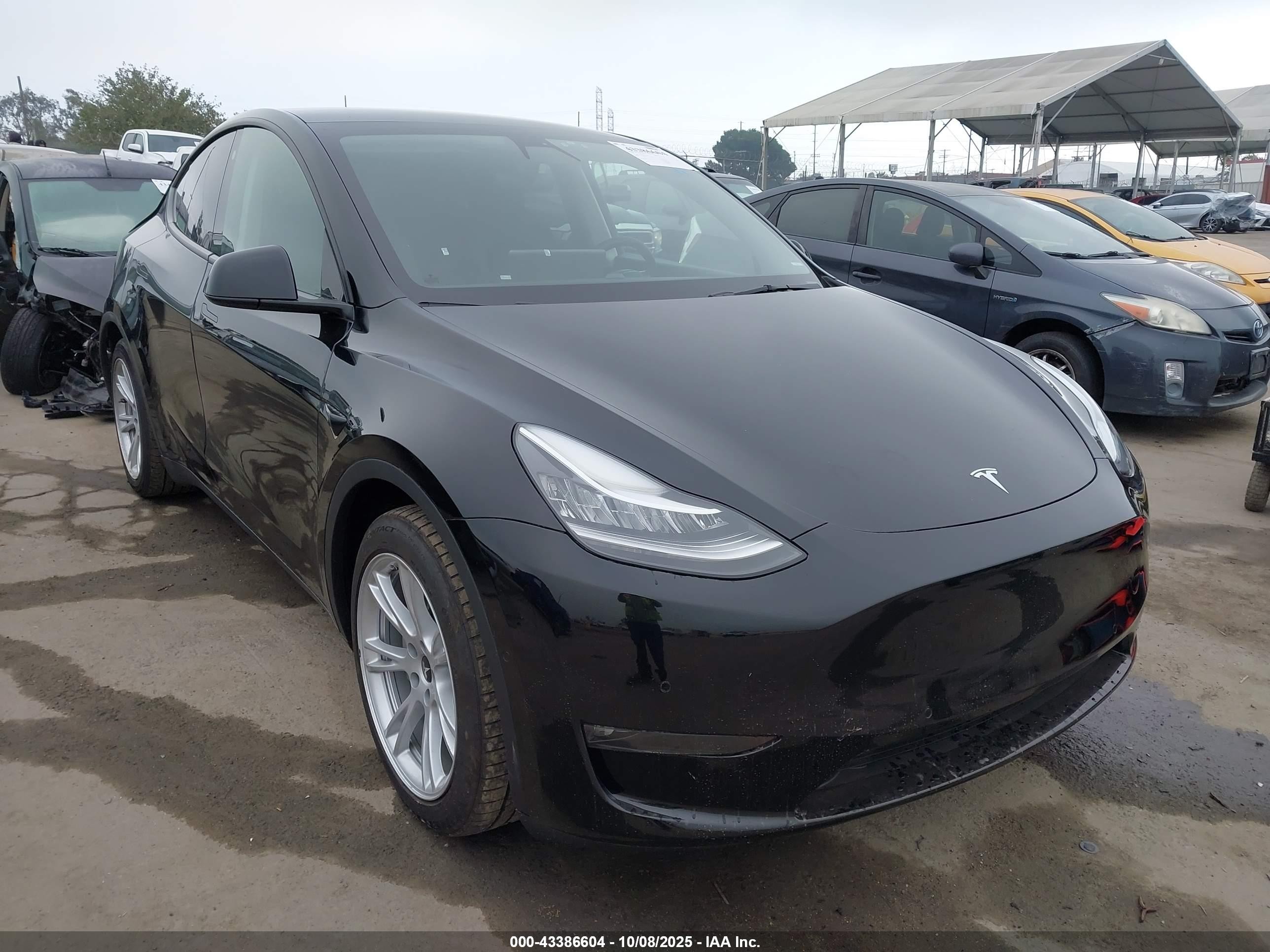 2021 Tesla Model Y Long Range, VIN 5YJYGAEE3MF194474 — Rear end