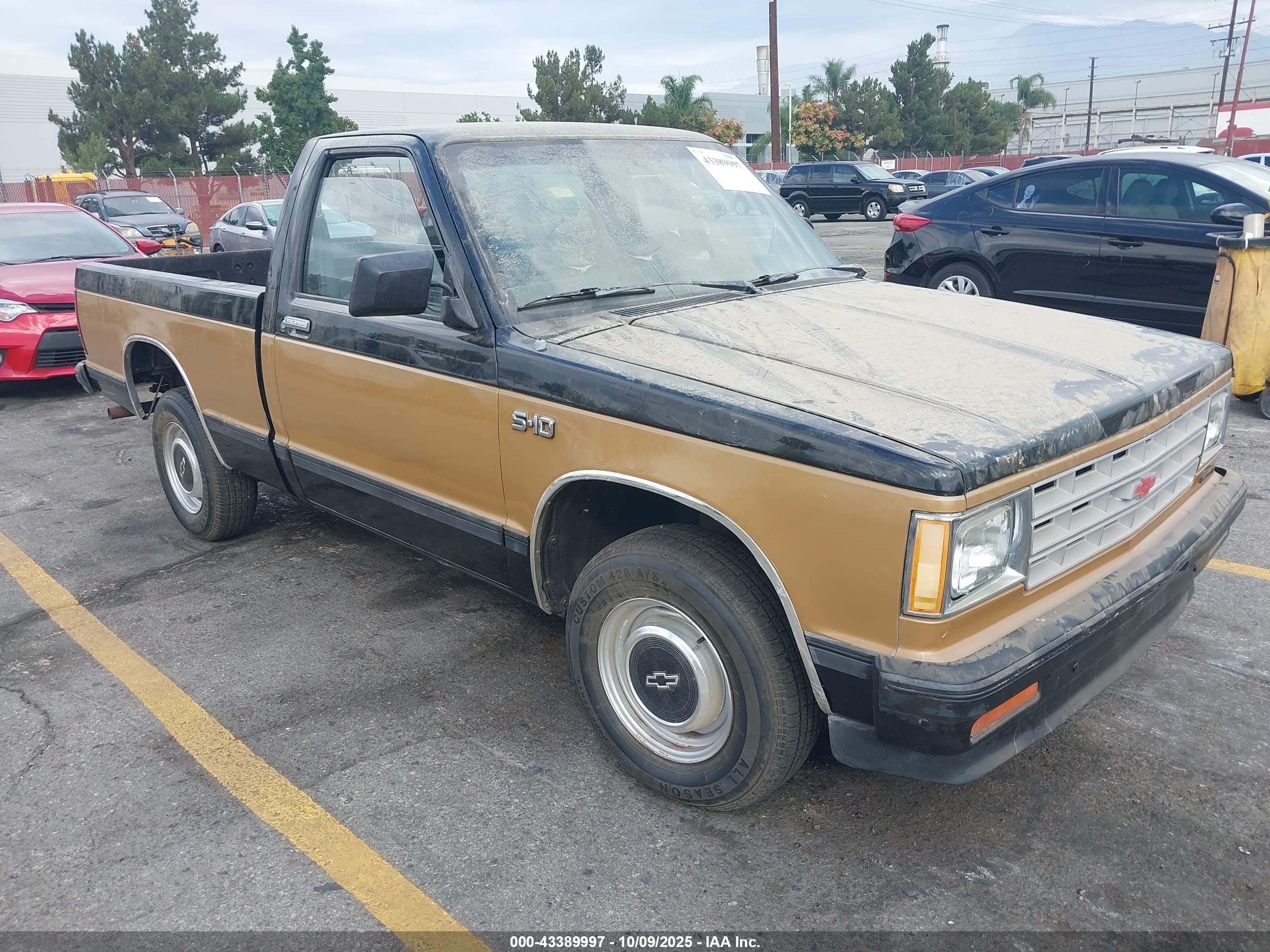 1984 Chevrolet S-10, VIN 1GCCS14B5E8171635 — Rear end