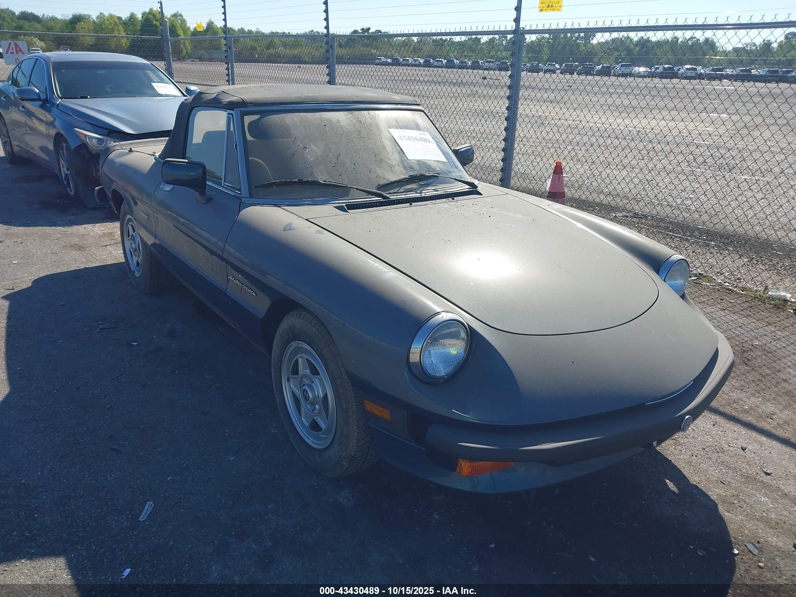 1987 Alfa Romeo Spider Veloce, VIN ZARBA5586H1048261 — Обычный износ
