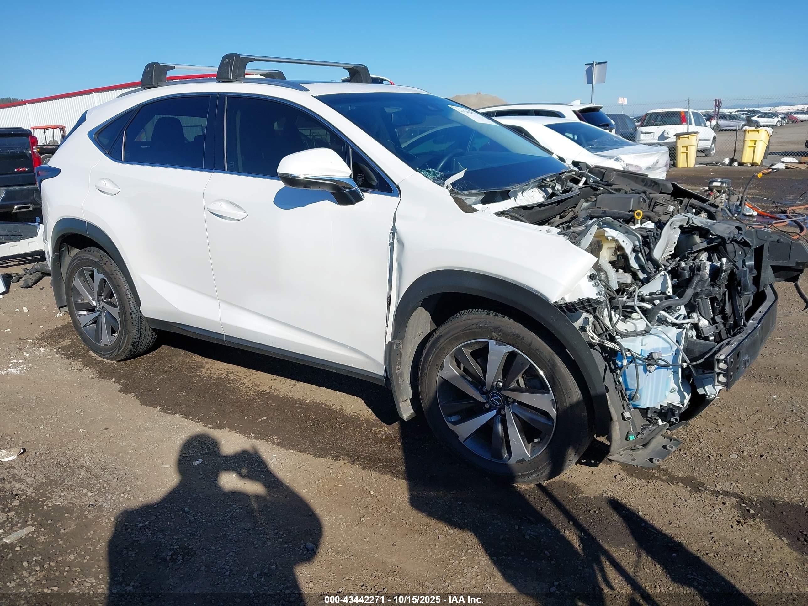 2019 Lexus NX 300, VIN JTJBARBZ2K2183413 — Front end