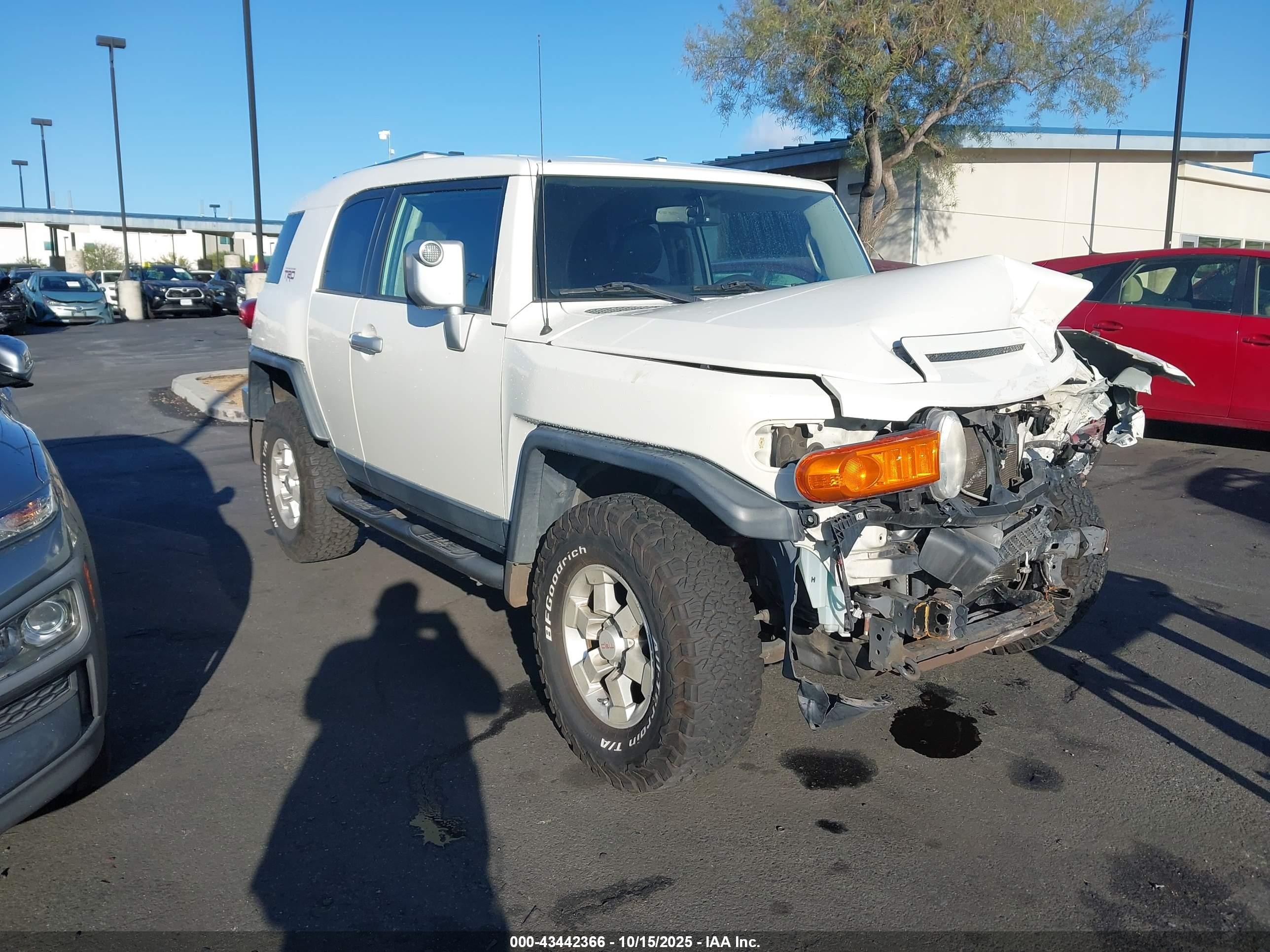 2010 Toyota FJ Cruiser, VIN JTEZU4BF0AK009769 — Front end