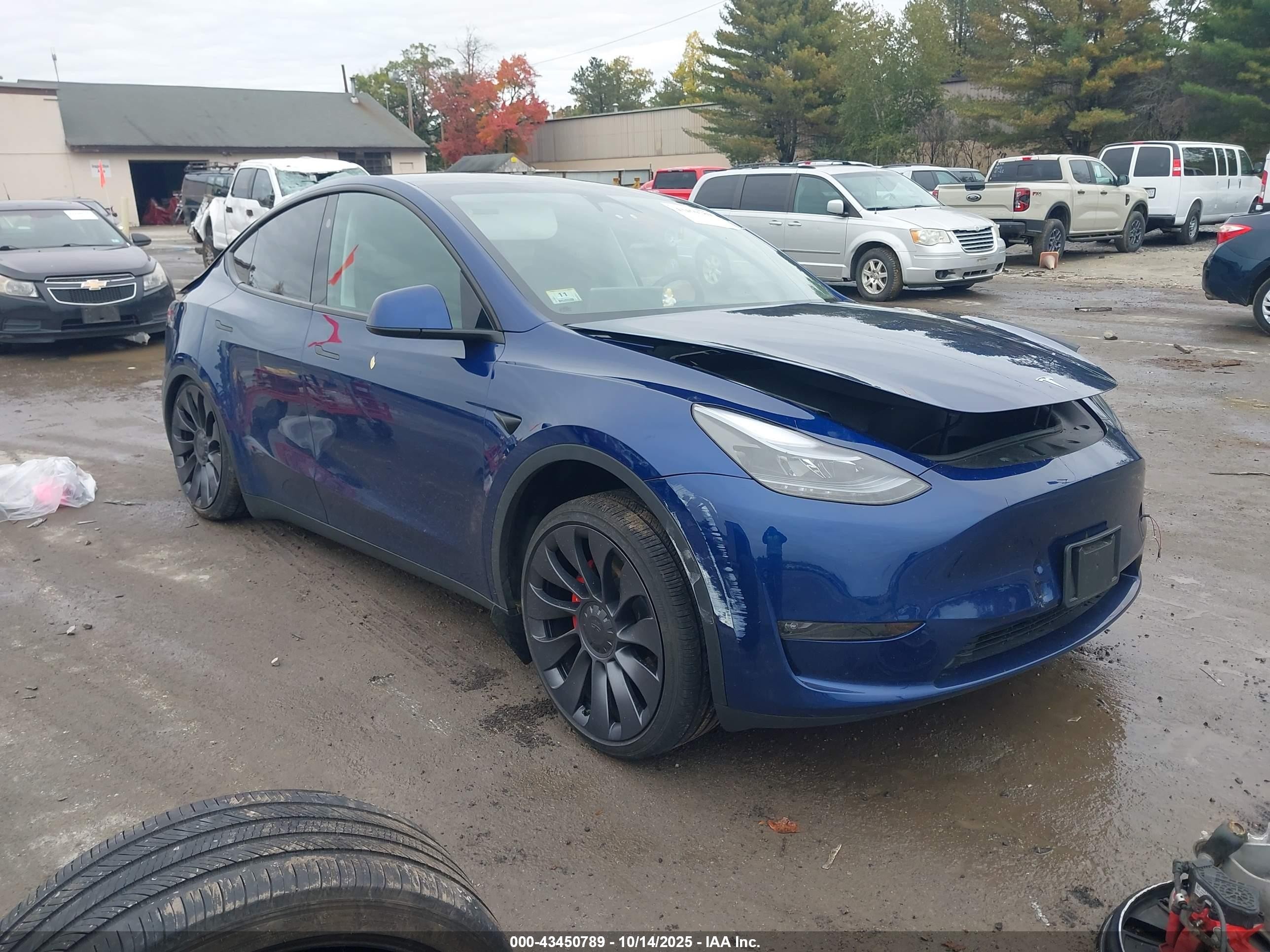 2024 Tesla Model Y Performance, VIN 7SAYGDEF3RA323024 — Rear end