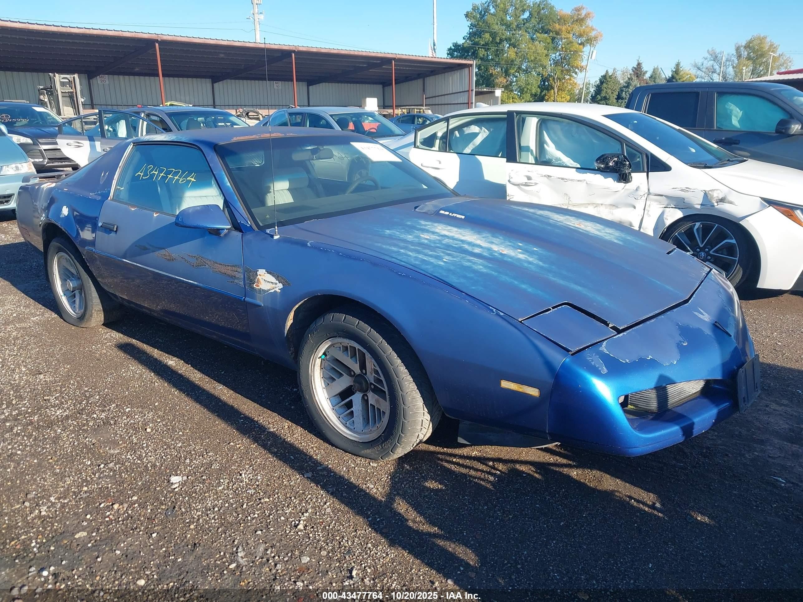 1991 Pontiac Firebird, VIN 1G2FS23E6ML212191 — Front end