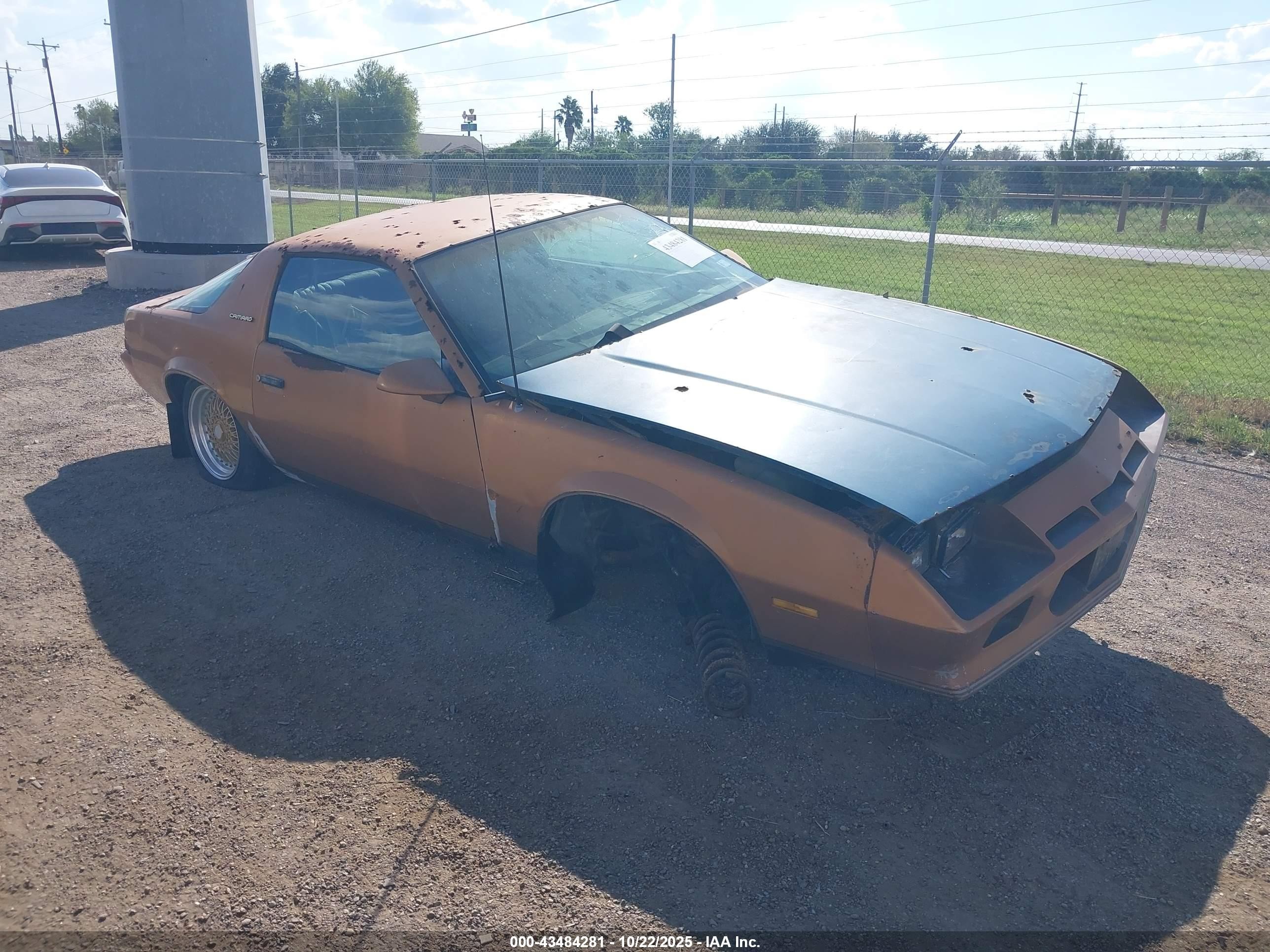 1982 Chevrolet Camaro Berlinetta, VIN 1G1AS8714CL102635 — All over