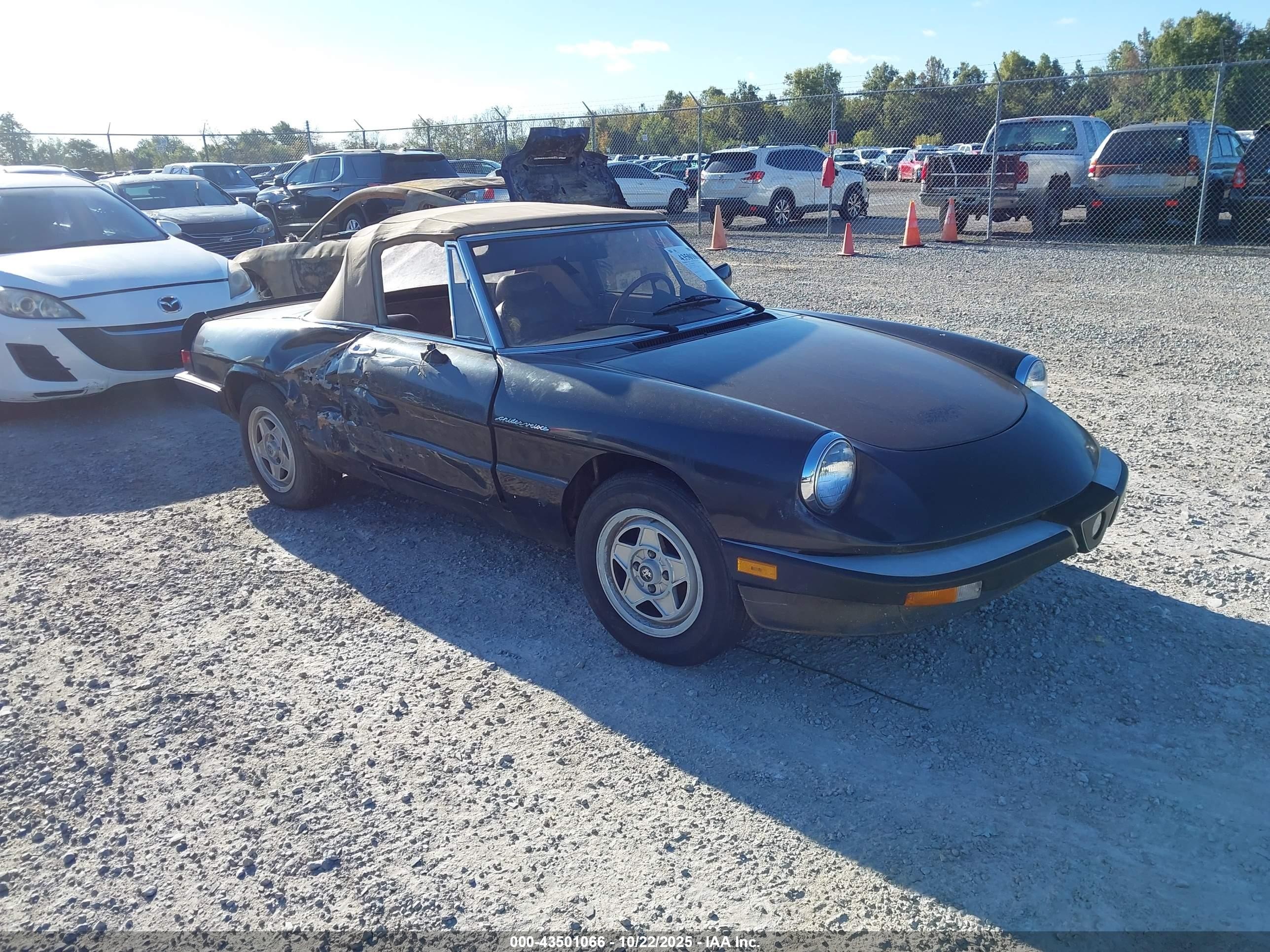 1984 Alfa Romeo Spider Veloce, VIN ZARBA5414E1020331 — Бок