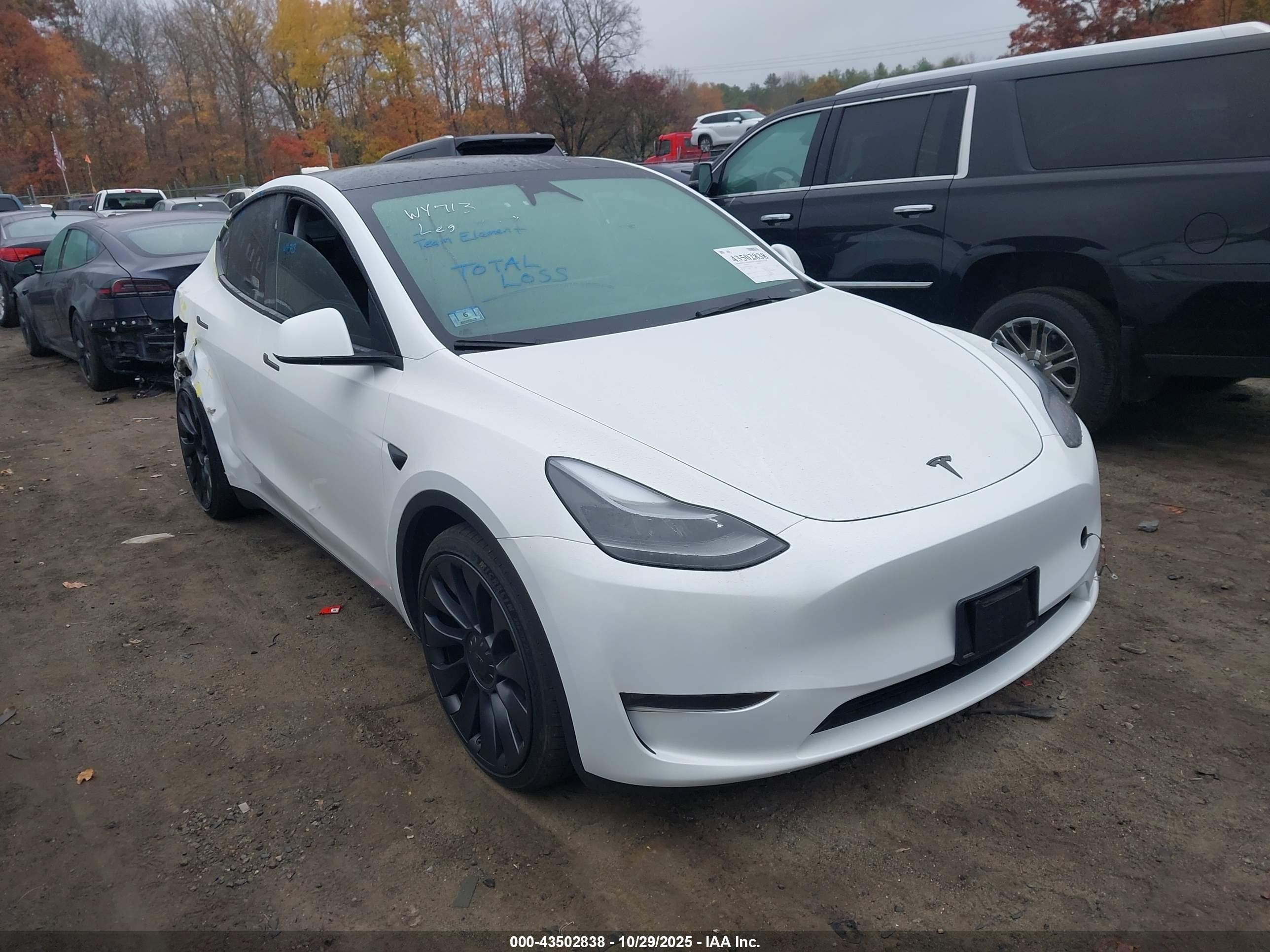 2024 Tesla Model Y Performance, VIN 7SAYGDEF4RA264713 — Rear end