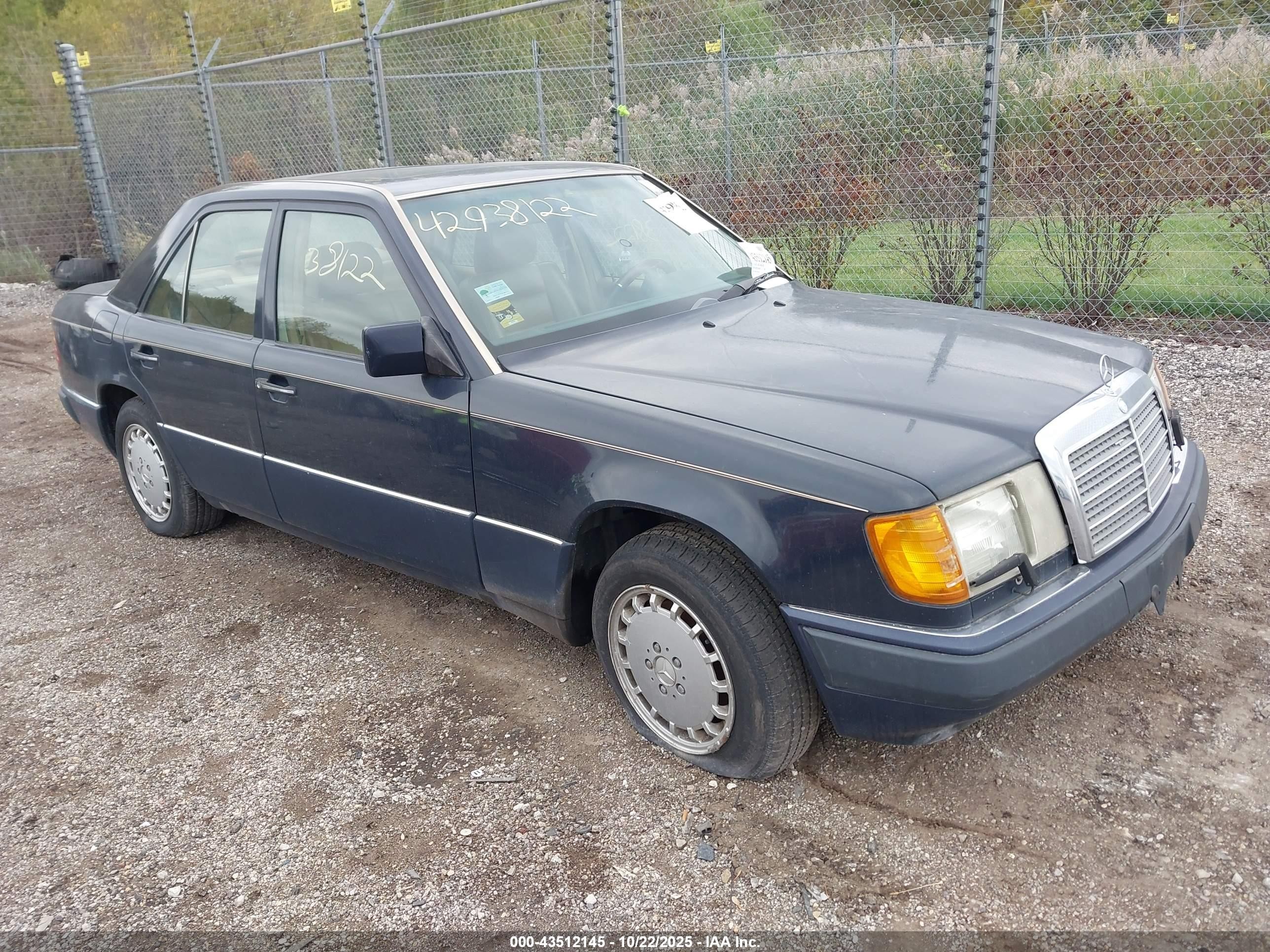 1992 Mercedes-Benz 300, VIN WDBEA30E5NB702485 — Biohazard / chemical