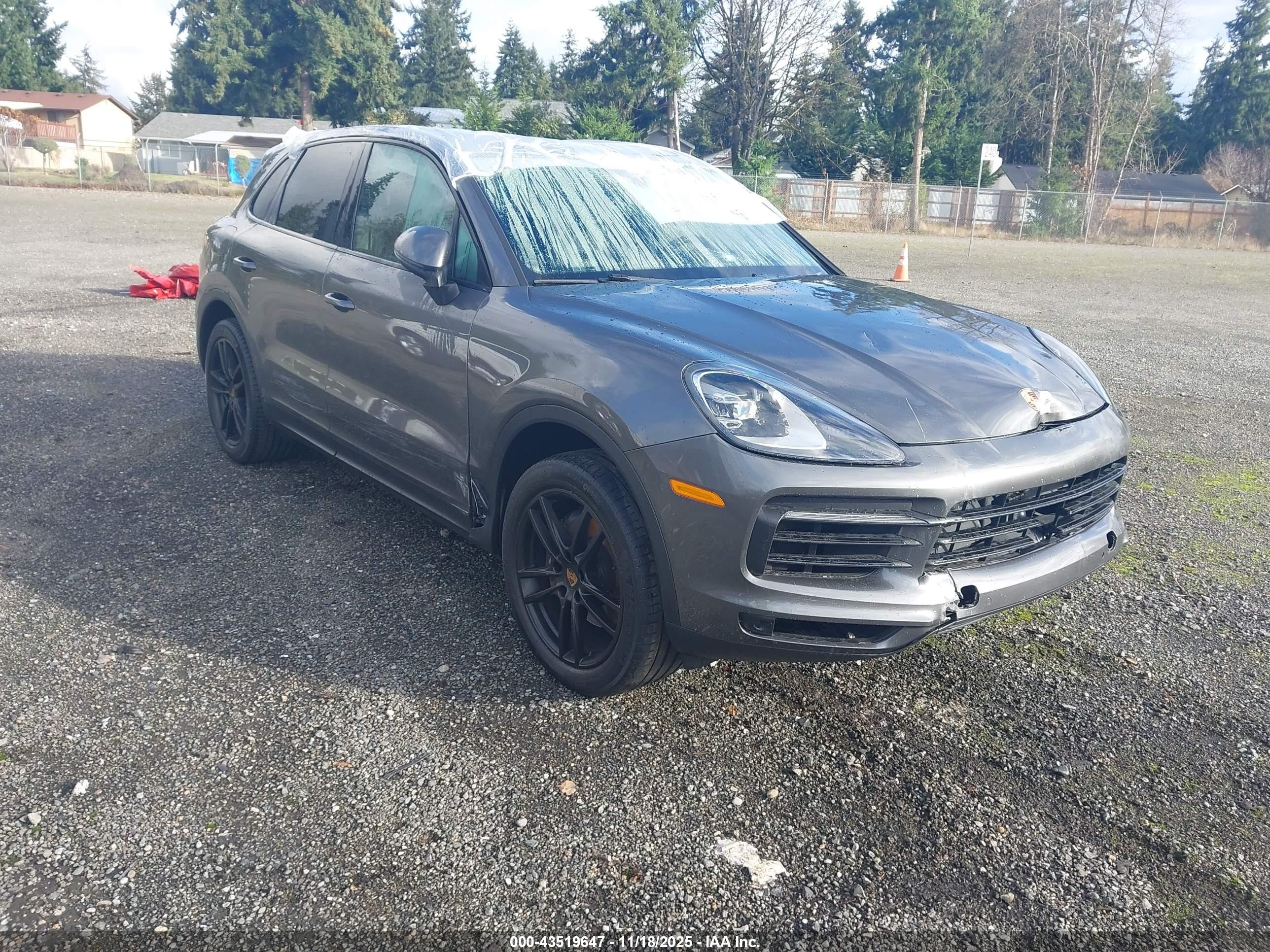 2019 Porsche Cayenne, VIN WP1AA2AY6KDA13055 — Крыша