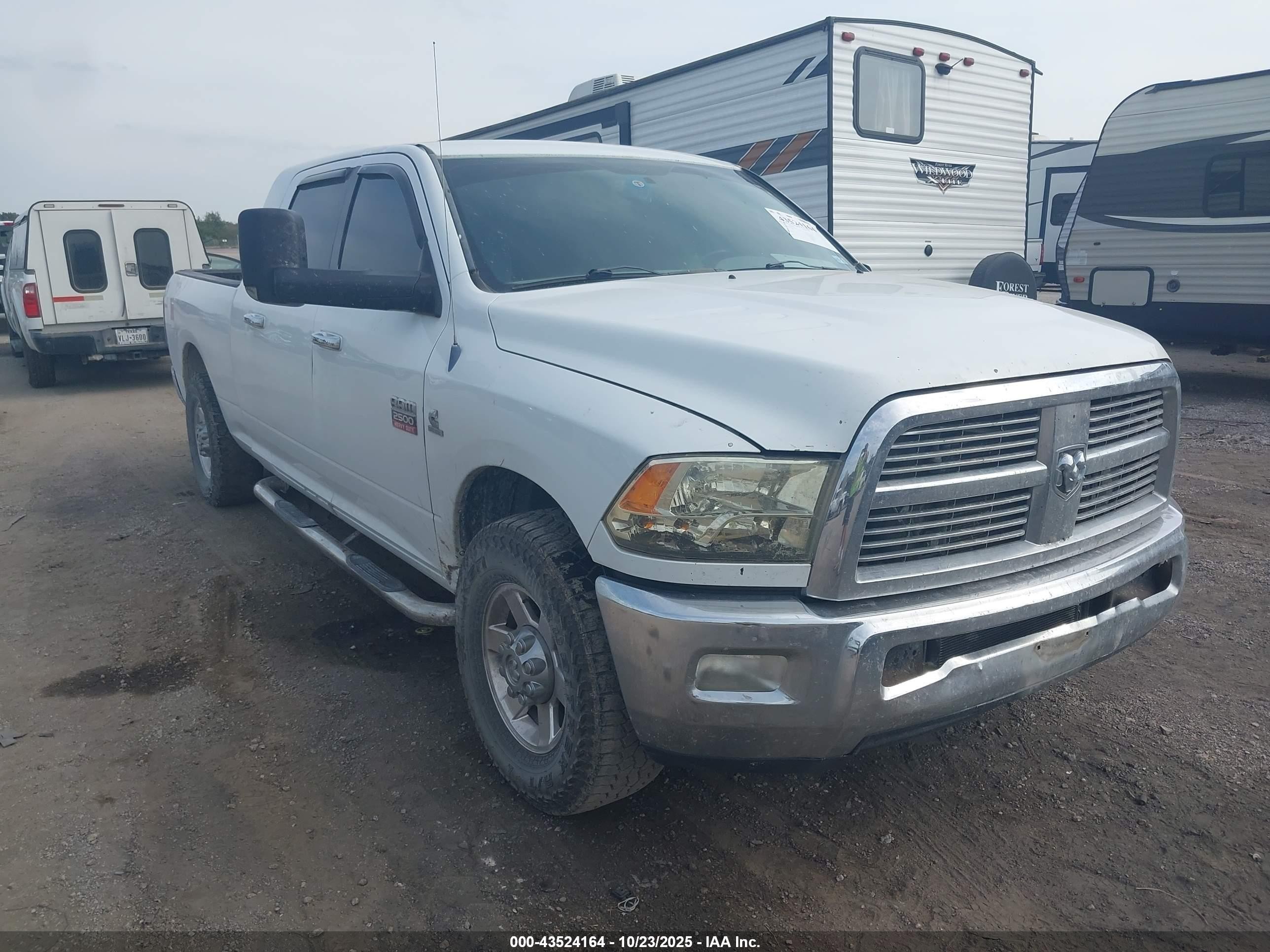2010 Dodge RAM, VIN 3D7TP2HLXAG130647 — Side