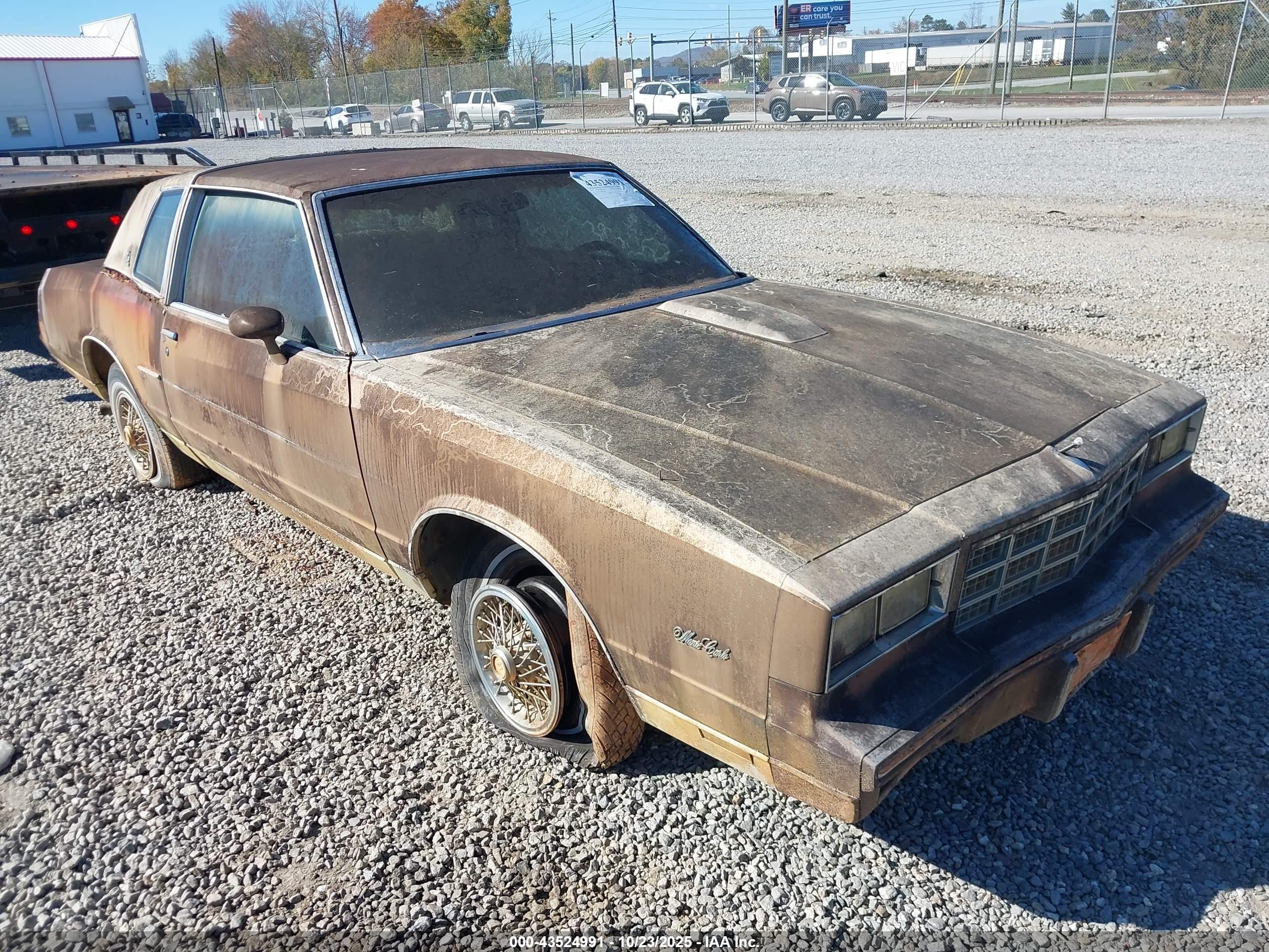 1981 Chevrolet Monte Carlo, VIN 1G1AZ3736BR462999 — All over
