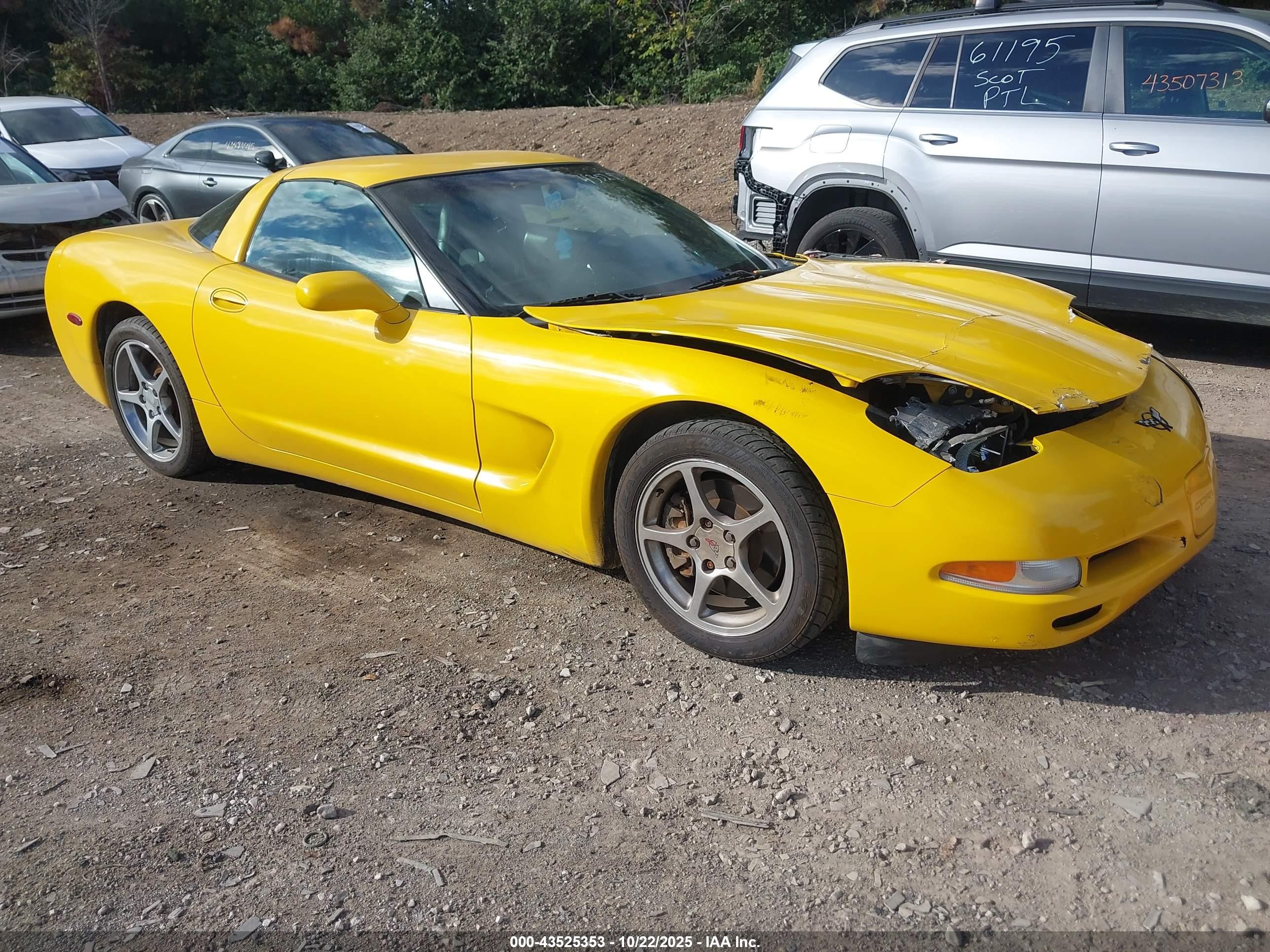 2002 Chevrolet Corvette, VIN 1G1YY22G625115752 — Front end