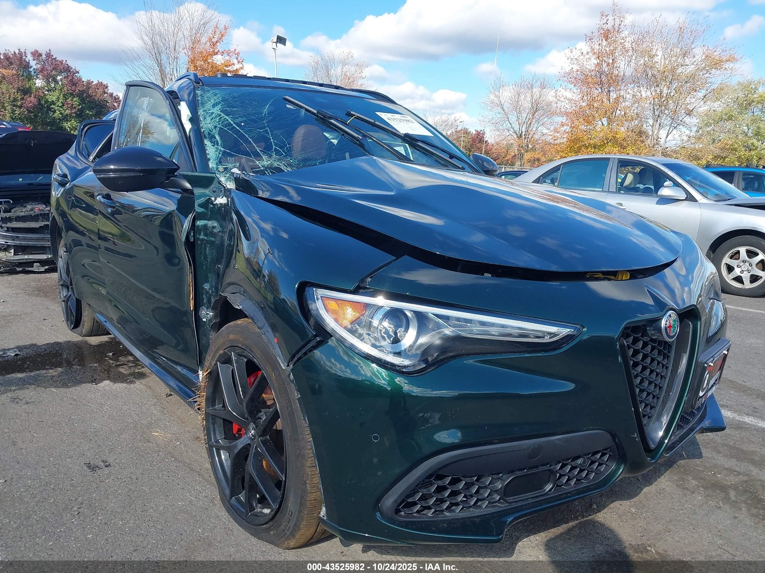 2021 Alfa Romeo Stelvio Ti, VIN ZASPAKBN4M7D15730 — Крыша