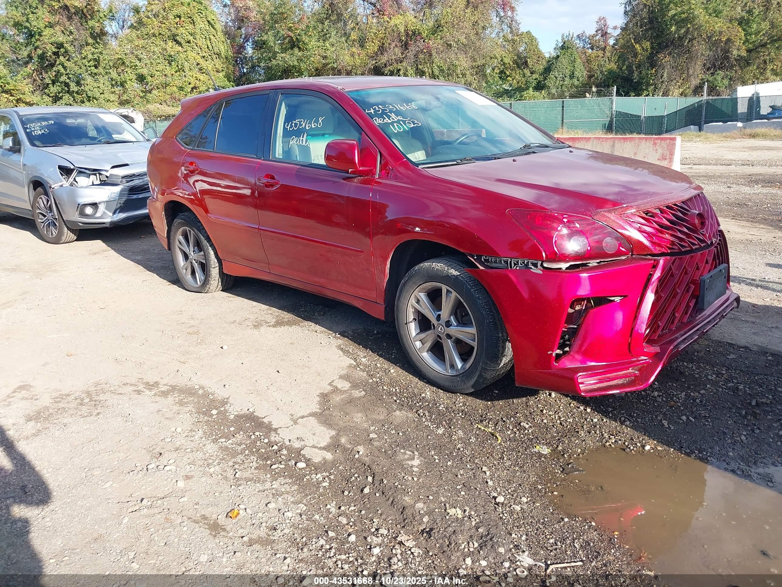 2006 Lexus RX 400h, VIN JTJHW31U262005912 — Стихия