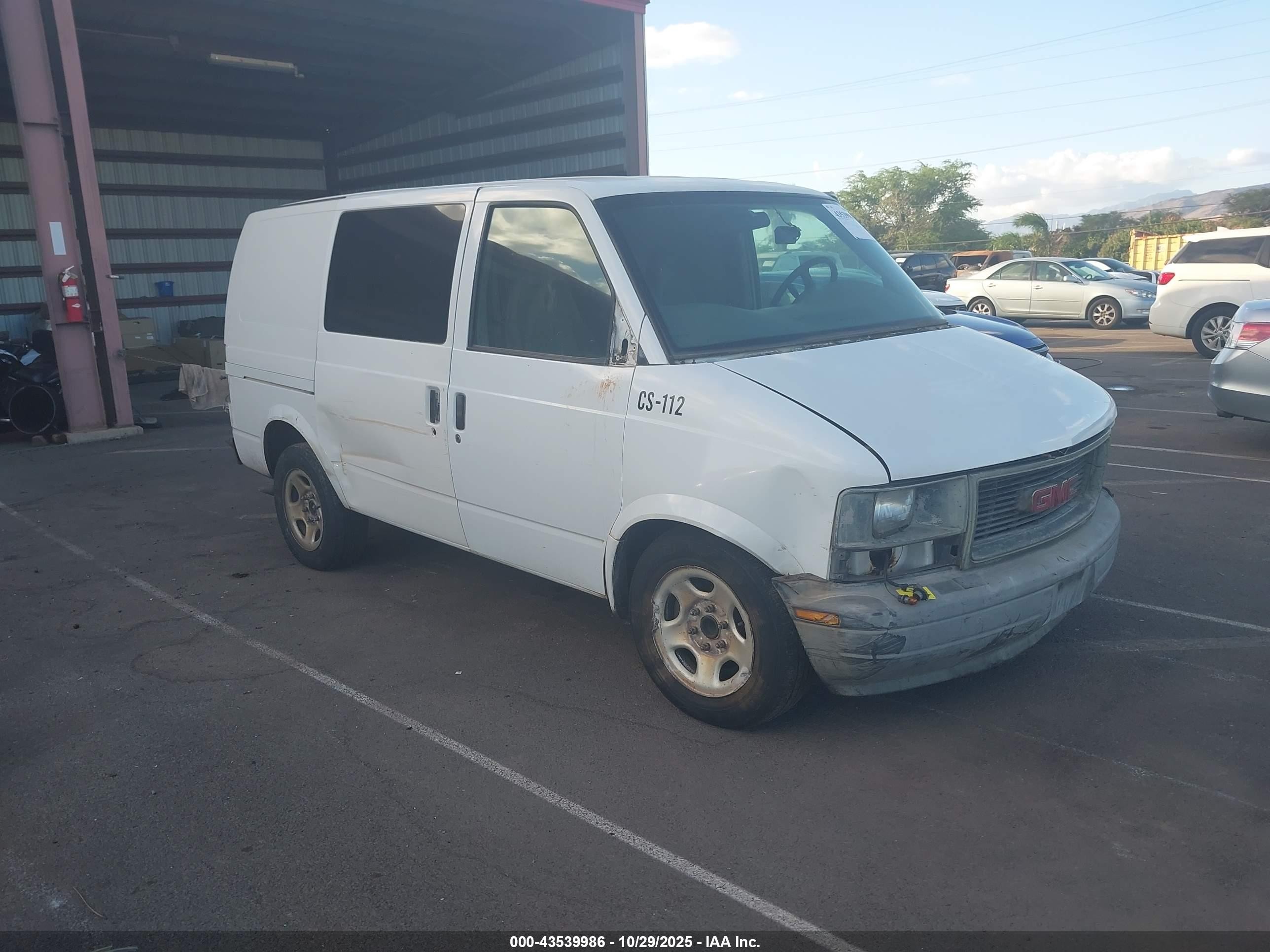 2005 GMC Safari Cargo, VIN 1GTDM19X75B504276 — All over