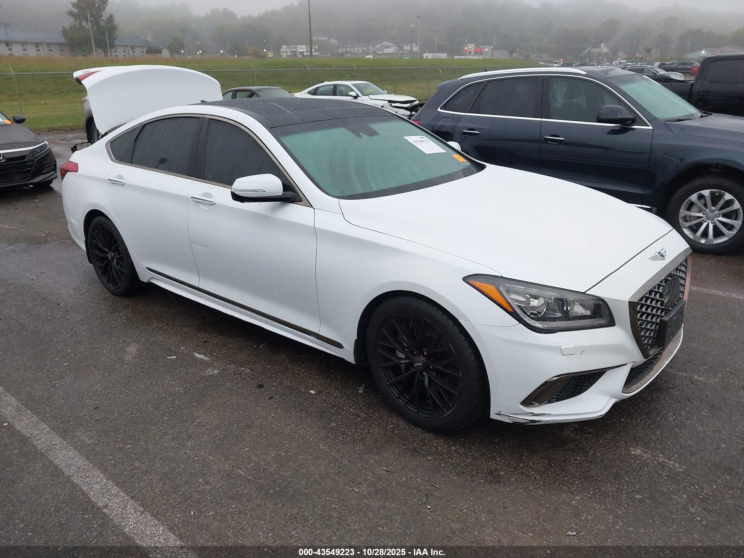 2019 Genesis G80 3.8L, VIN KMTFN4JE6KU309997 — Rear end